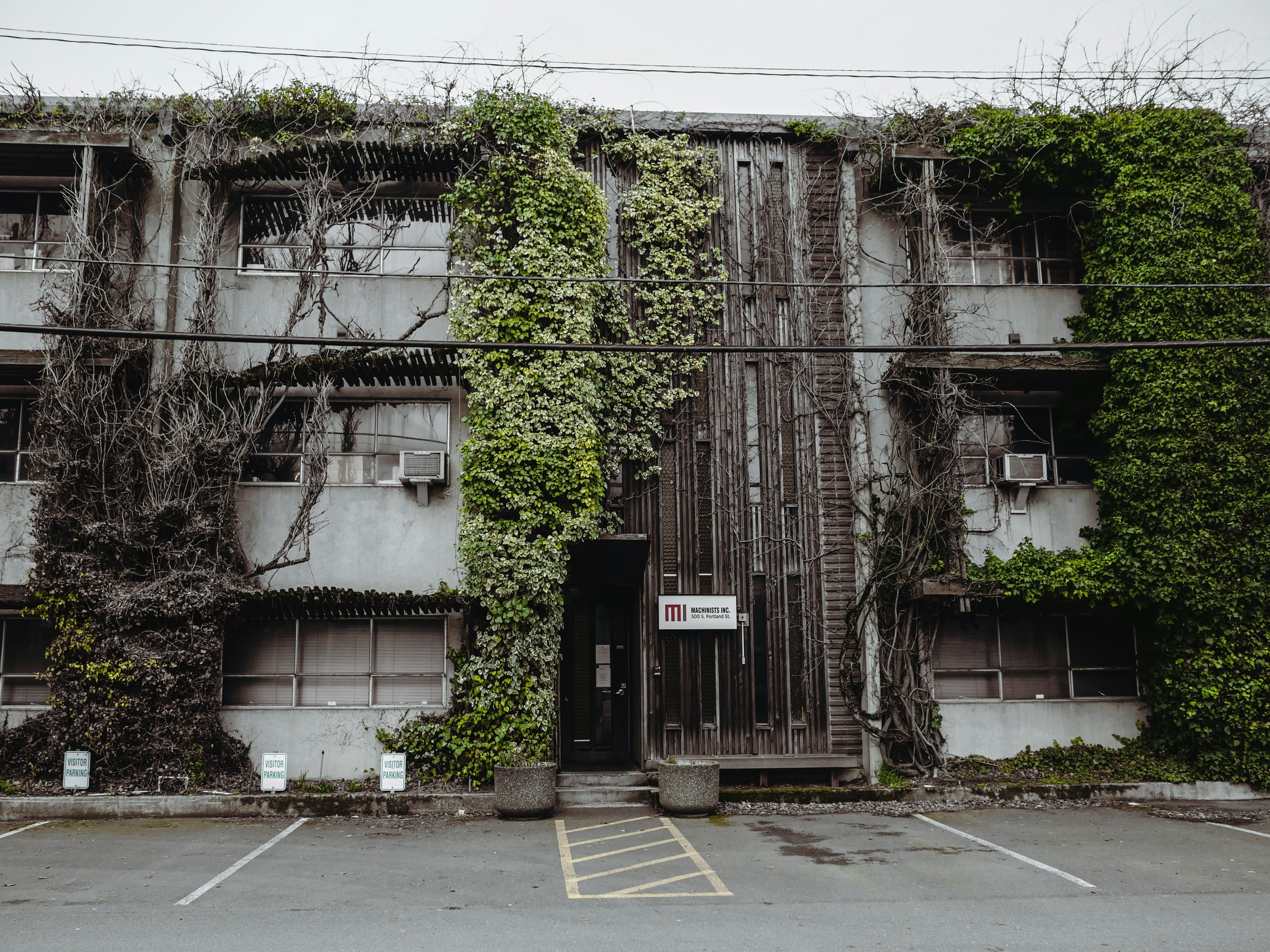 a building with vines growing on it