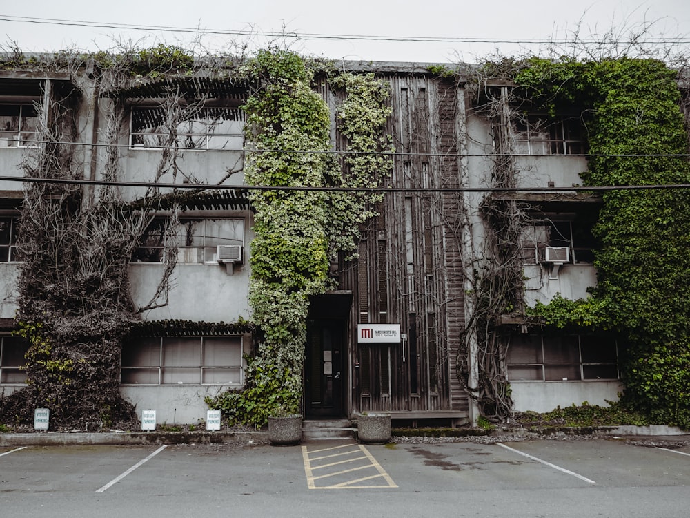 a building with vines growing on it