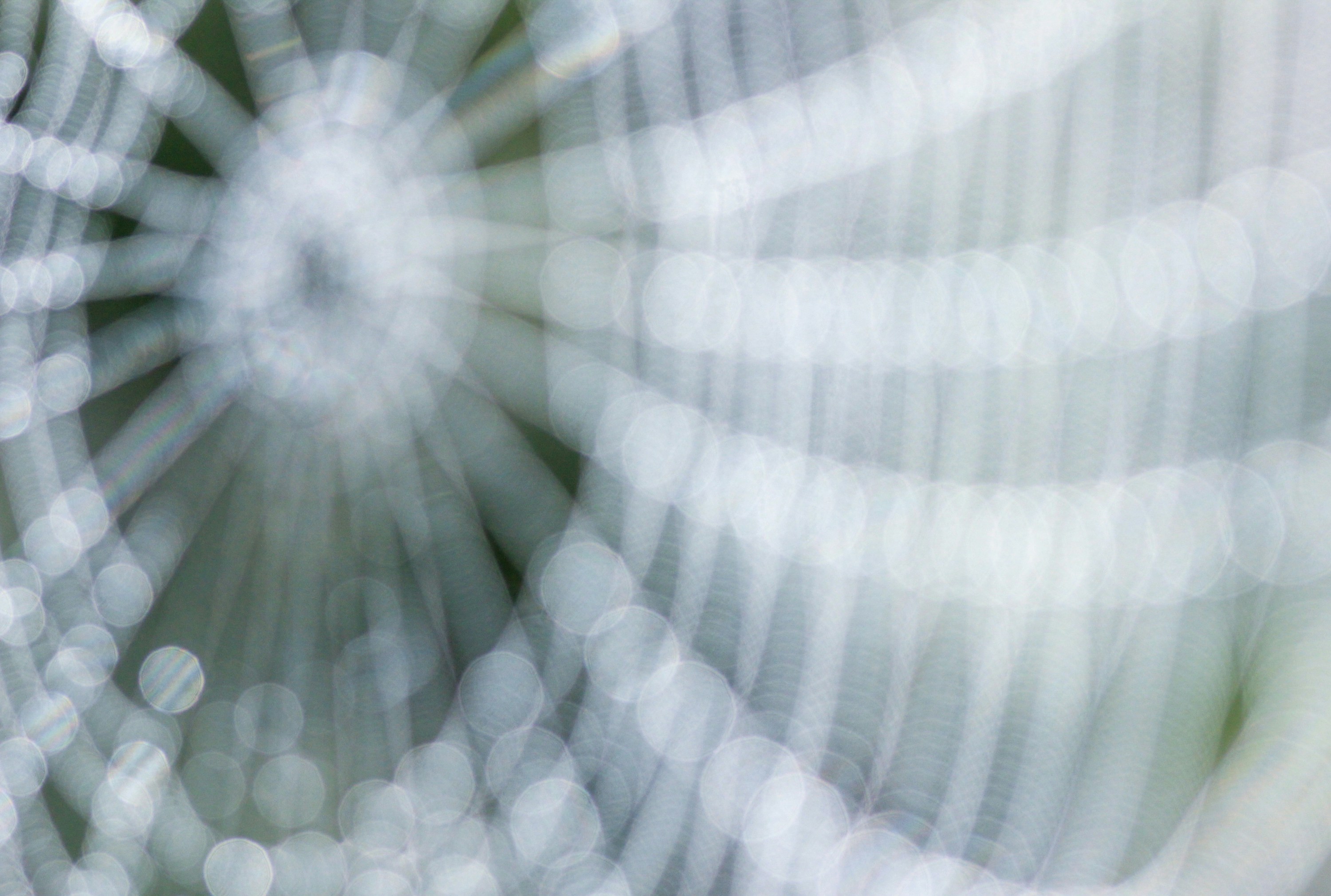 Photo by happy_days_