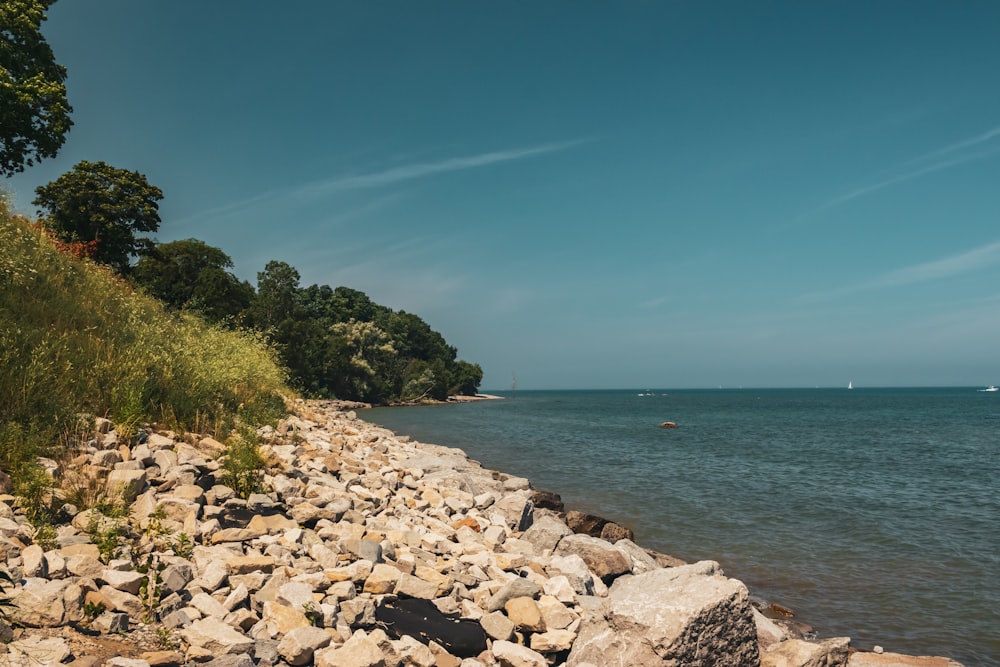 a rocky beach with trees and water