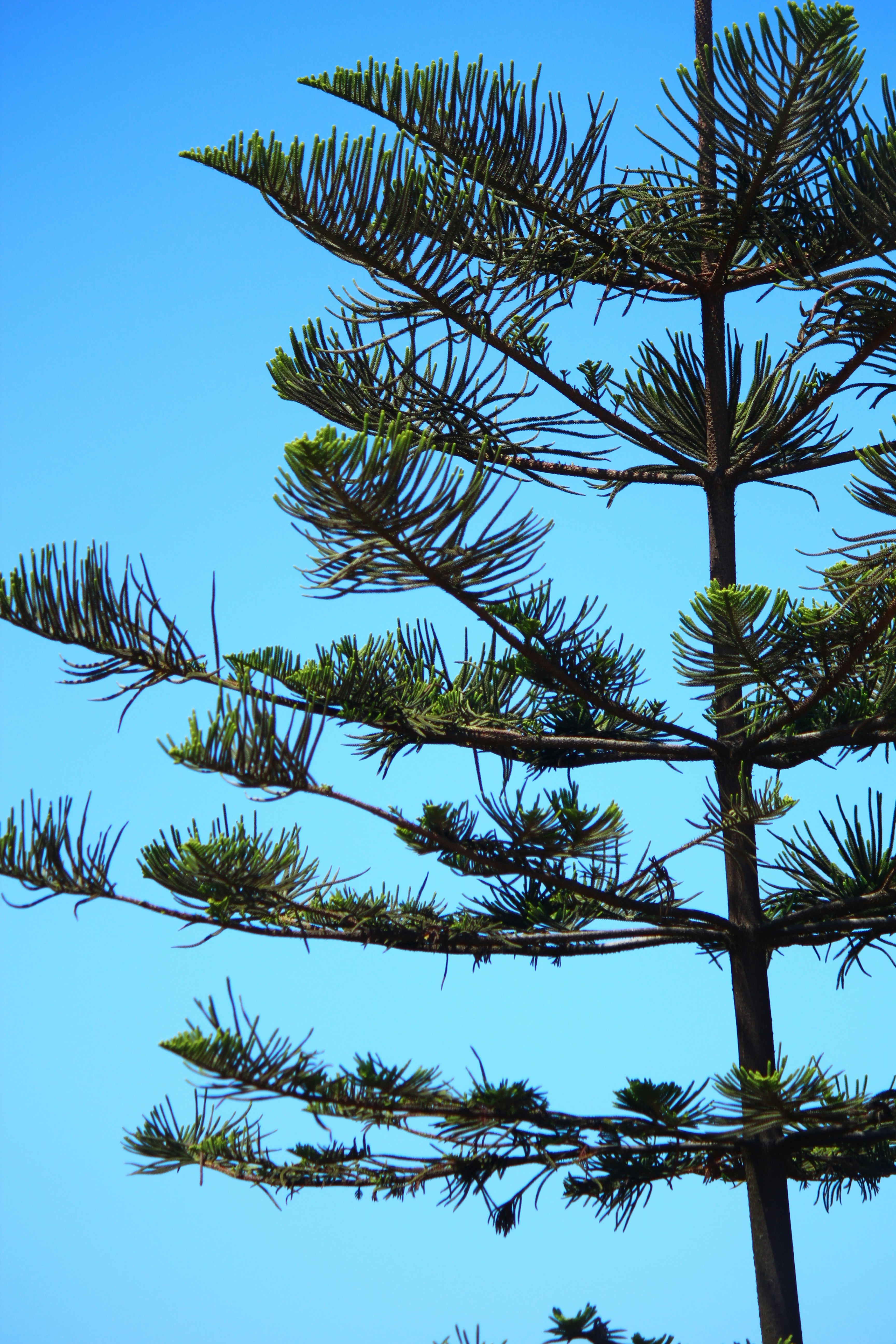 Photo by elmountassir1