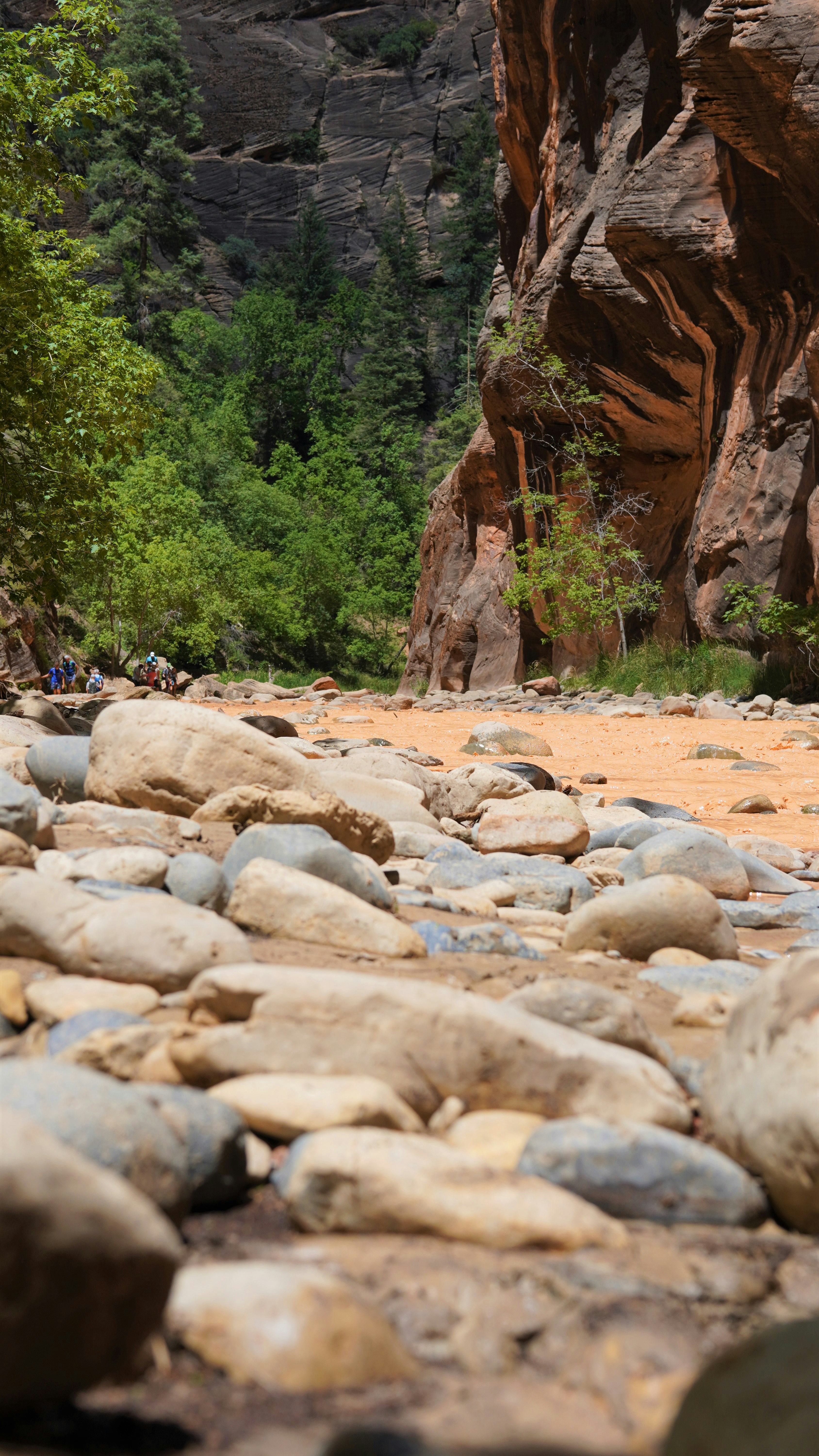 A river with rocks and trees photo – Free The narrows Image on Unsplash