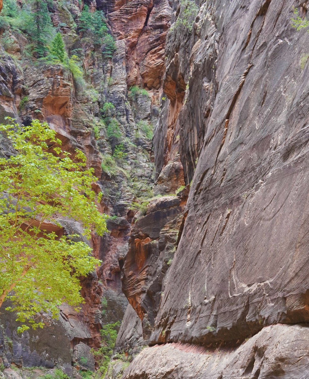 a rocky cliff side