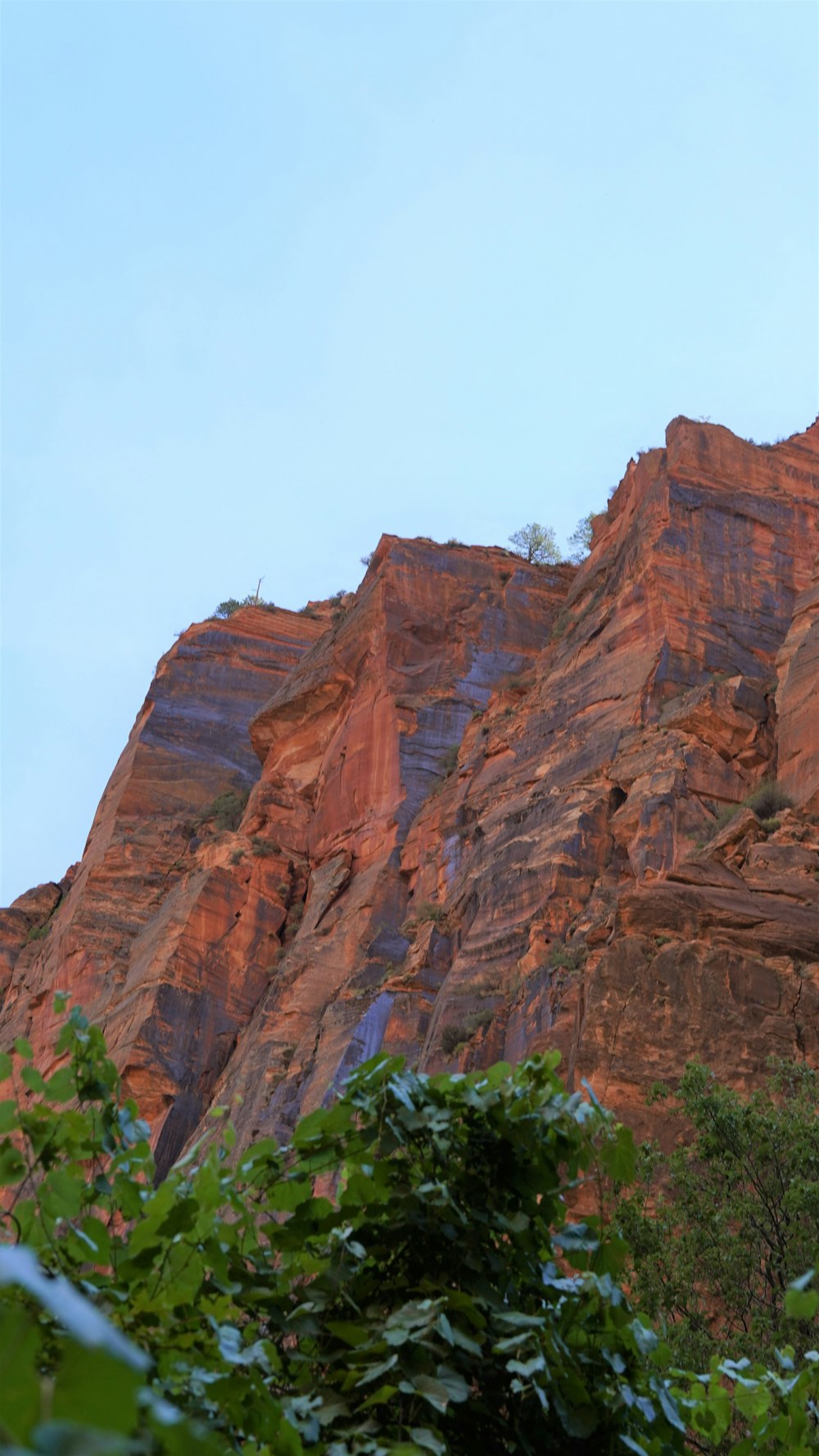 Une falaise de roche rouge