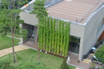 A modern building with a rectangular shape is adorned with vertical green vines growing along one wall. The building features a large glass window and a small entrance area with a bicycle near the door. The surrounding landscape includes neatly maintained grass, several trees, and a walkway adjacent to the building.