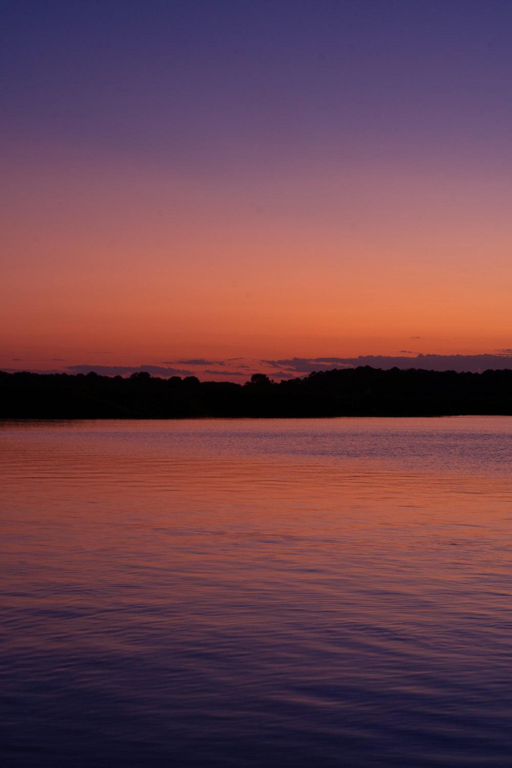 a body of water with trees in the background