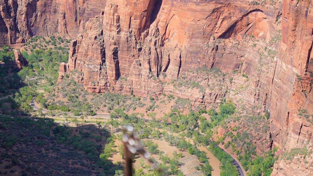 a large canyon with a river running through it