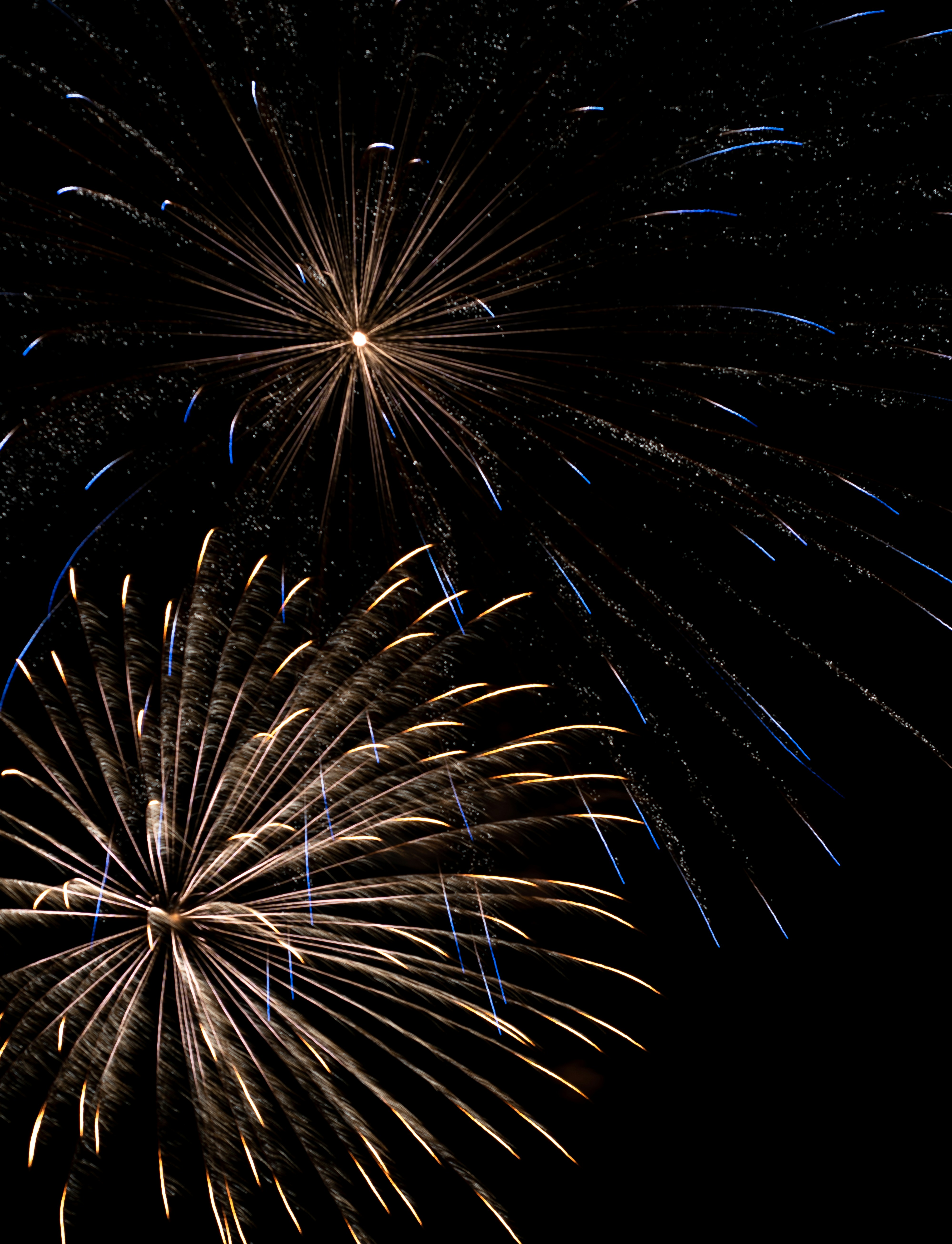 Fireworks in the night sky photo Free Chincoteague island Image on Unsplash