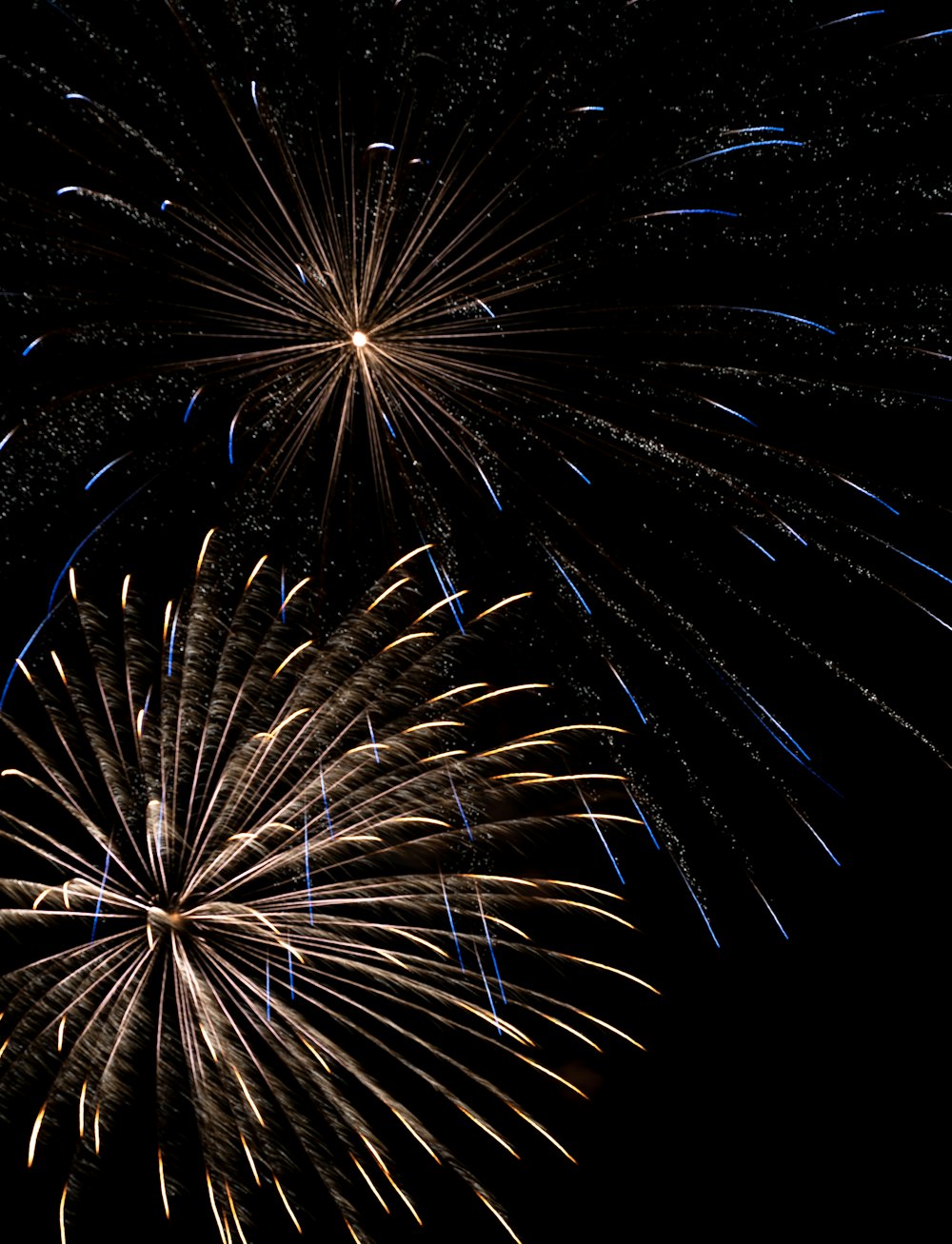 Fuegos artificiales en el cielo nocturno