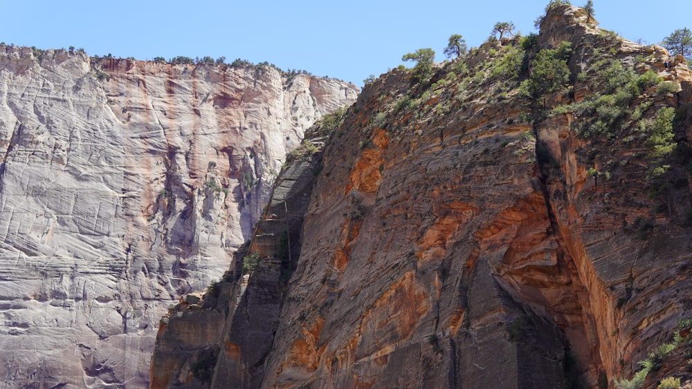 a rocky cliff side