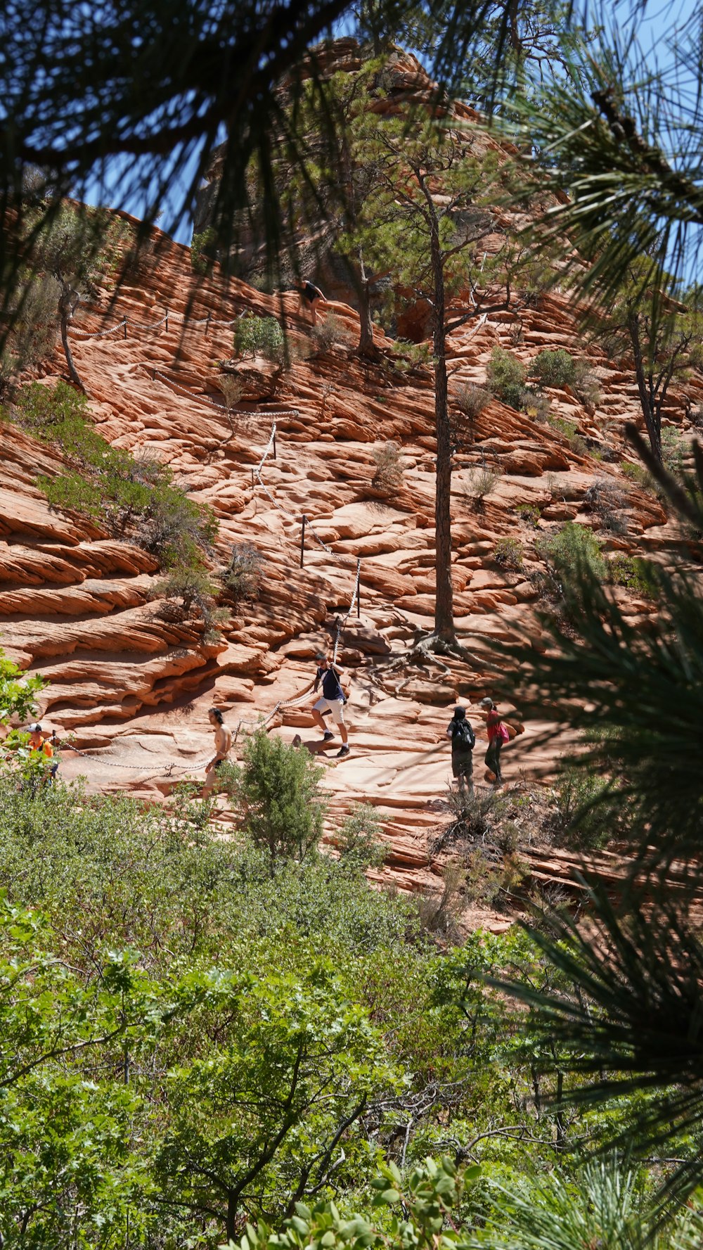 people walking on a rock path