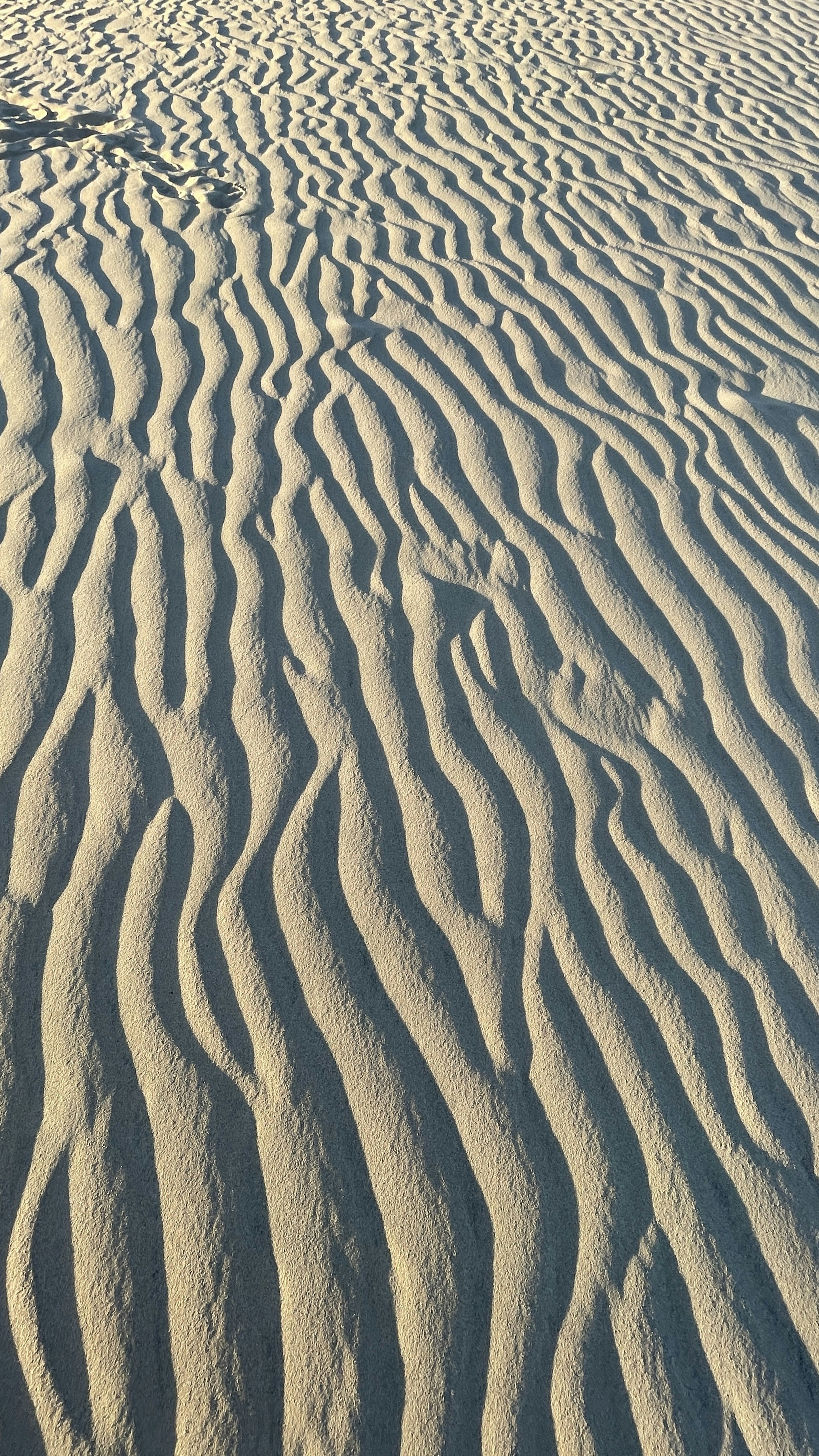 Photo by williamfanxiao