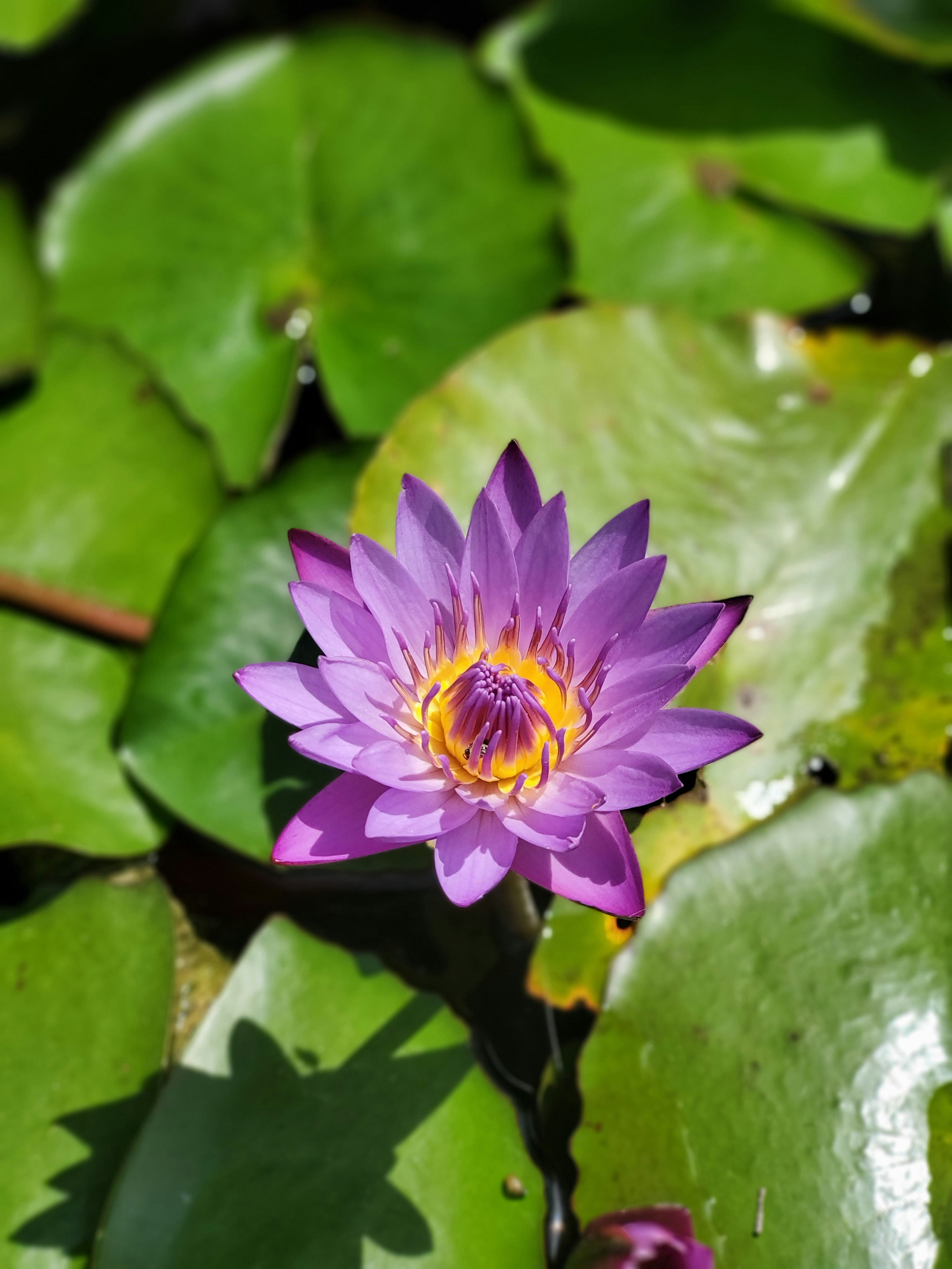 Photo by laceypaige23