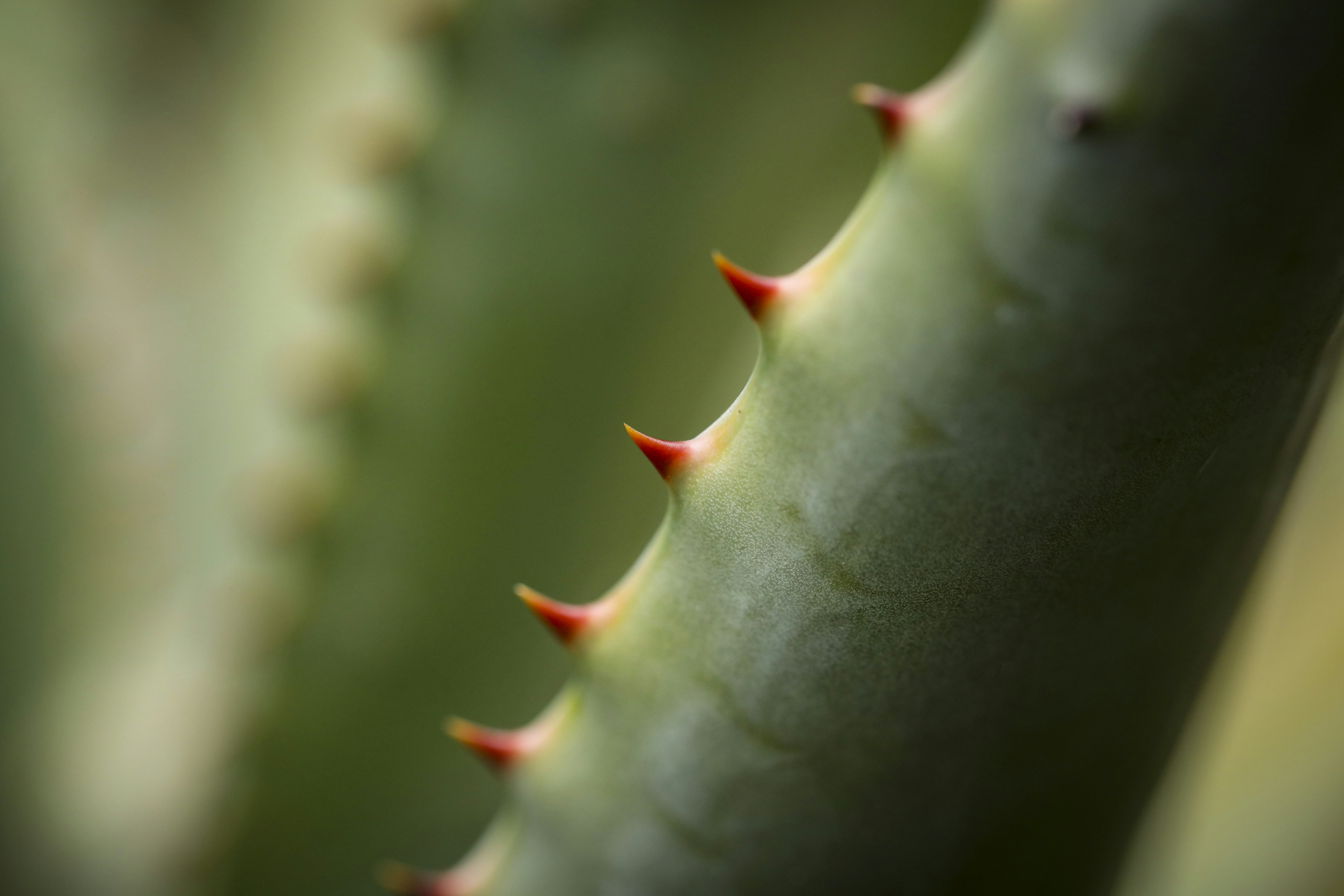 Photo by rocinante_11