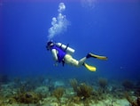 A scuba diver wearing a blue vest and yellow fins swims near the ocean floor, surrounded by coral and aquatic plants. Bubbles rise from the tank as the diver explores the underwater environment.
