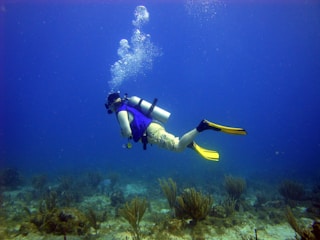 A scuba diver wearing a blue vest and yellow fins swims near the ocean floor, surrounded by coral and aquatic plants. Bubbles rise from the tank as the diver explores the underwater environment.