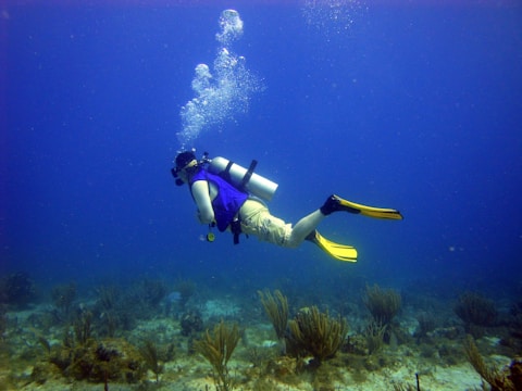 A scuba diver wearing a blue vest and yellow fins swims near the ocean floor, surrounded by coral and aquatic plants. Bubbles rise from the tank as the diver explores the underwater environment.