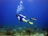 A scuba diver wearing a blue vest and yellow fins swims near the ocean floor, surrounded by coral and aquatic plants. Bubbles rise from the tank as the diver explores the underwater environment.