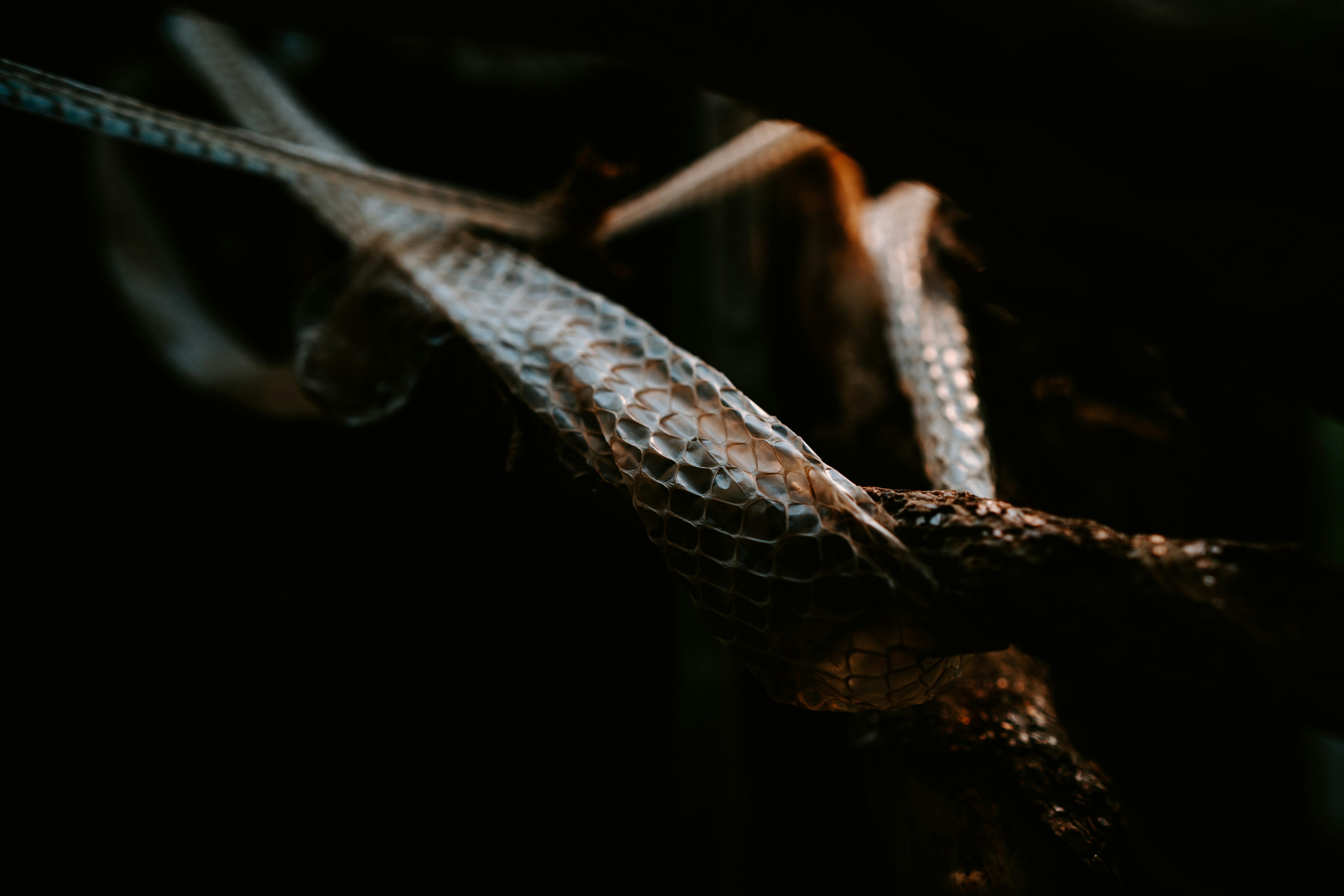 Photo by anamnesis33