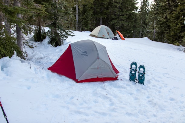 A snowy landscape featuring two tents set up among evergreen trees. Snowshoes are placed upright in the snow near the red and gray tent in the foreground. The second tent, further back, is beige, and a bright orange object is visible nearby. The scene conveys a sense of solitude and outdoor adventure in a winter setting.