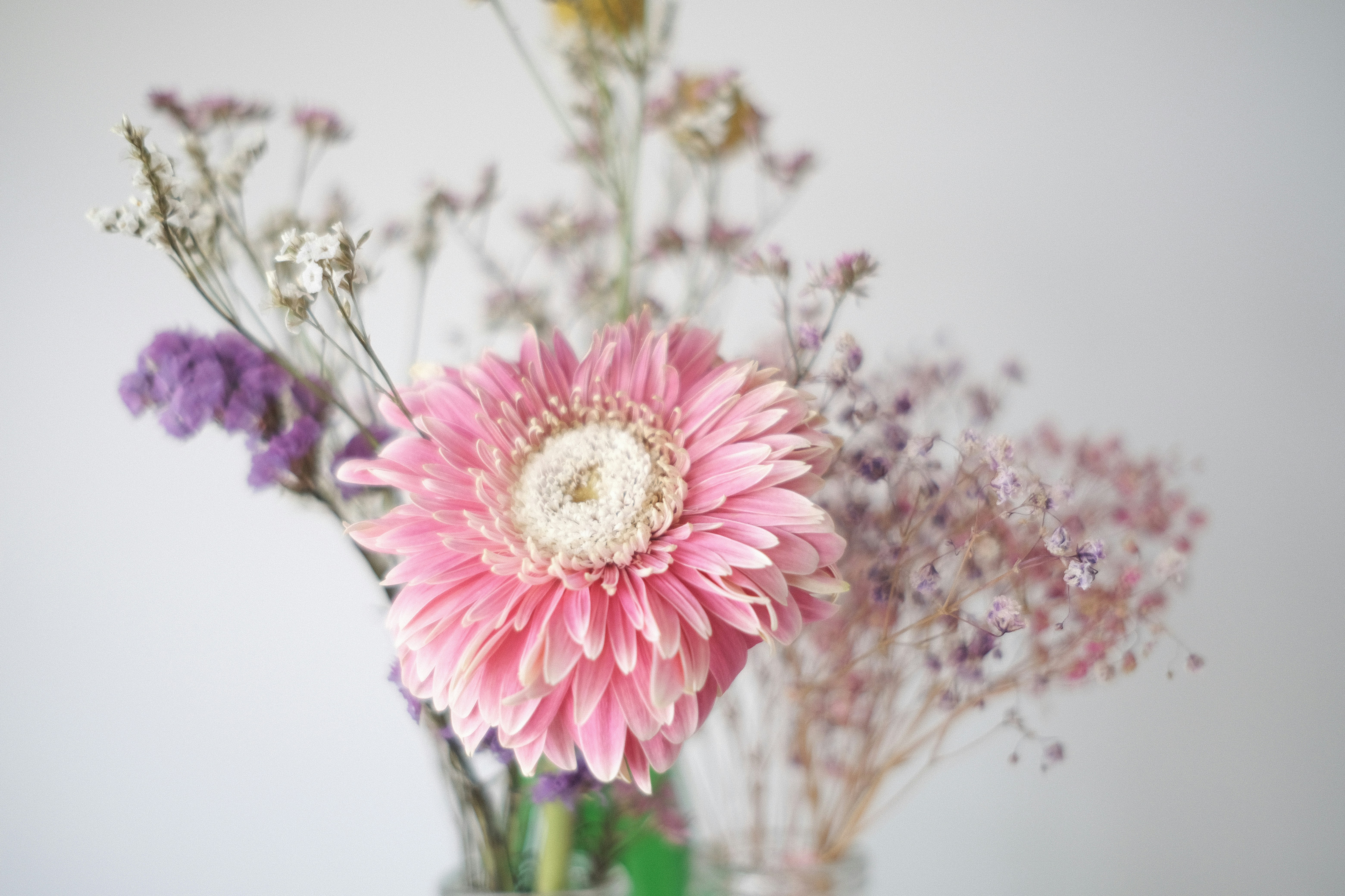 a pink flower in a vase