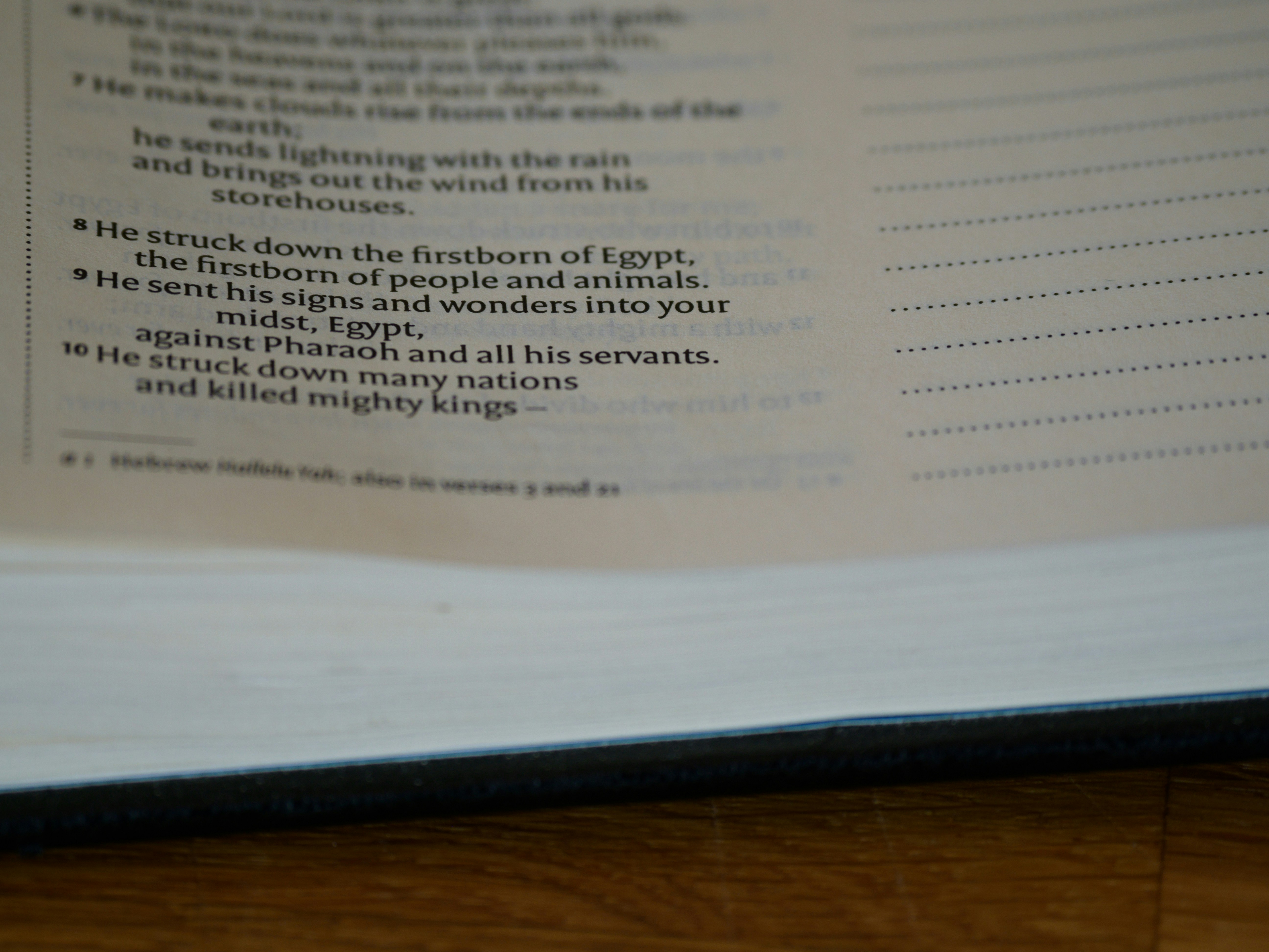 Photo by brett_jordan