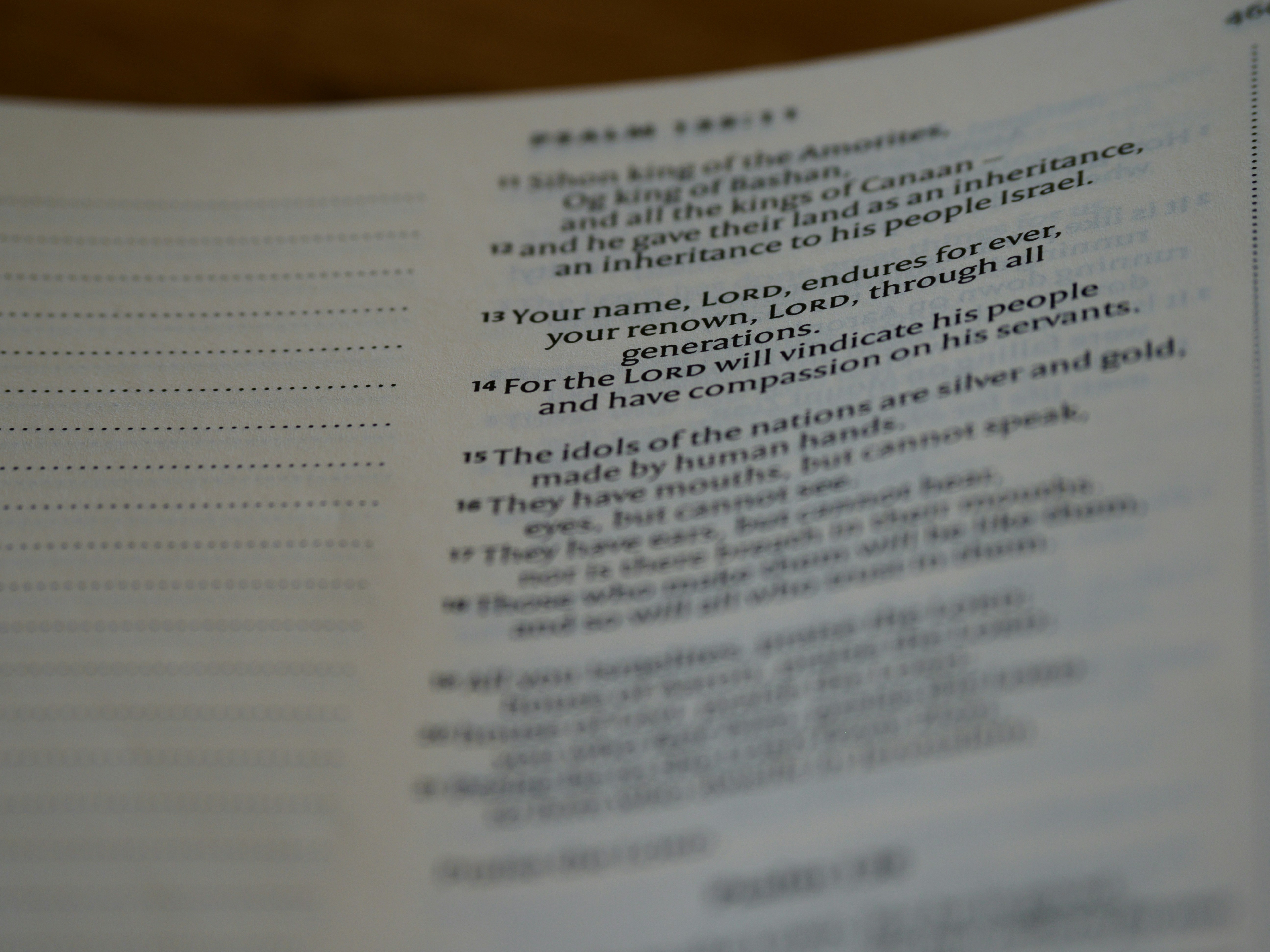 Photo by brett_jordan