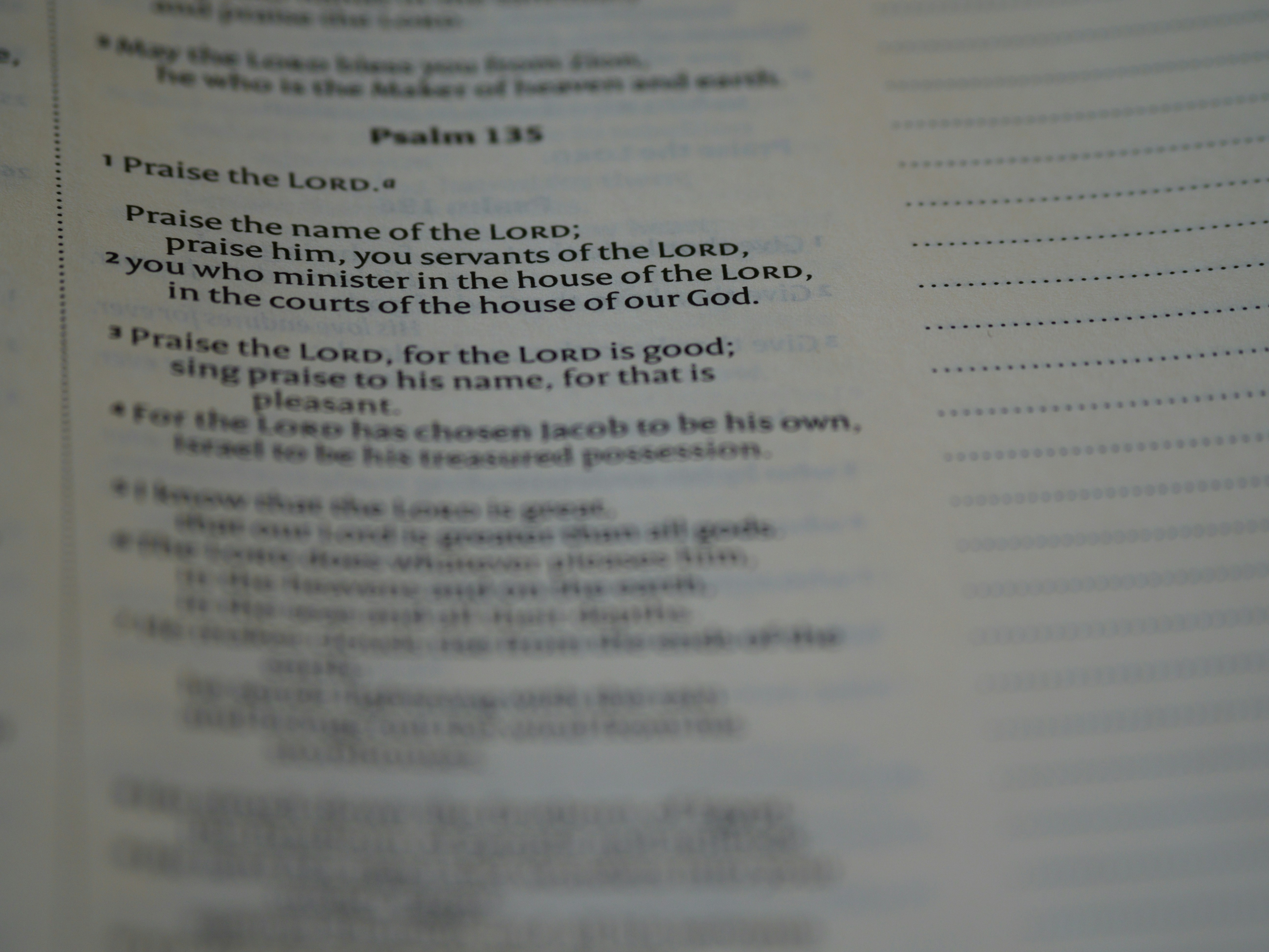 Shabbat of Joy and Praise: Celebrating God’s Goodness