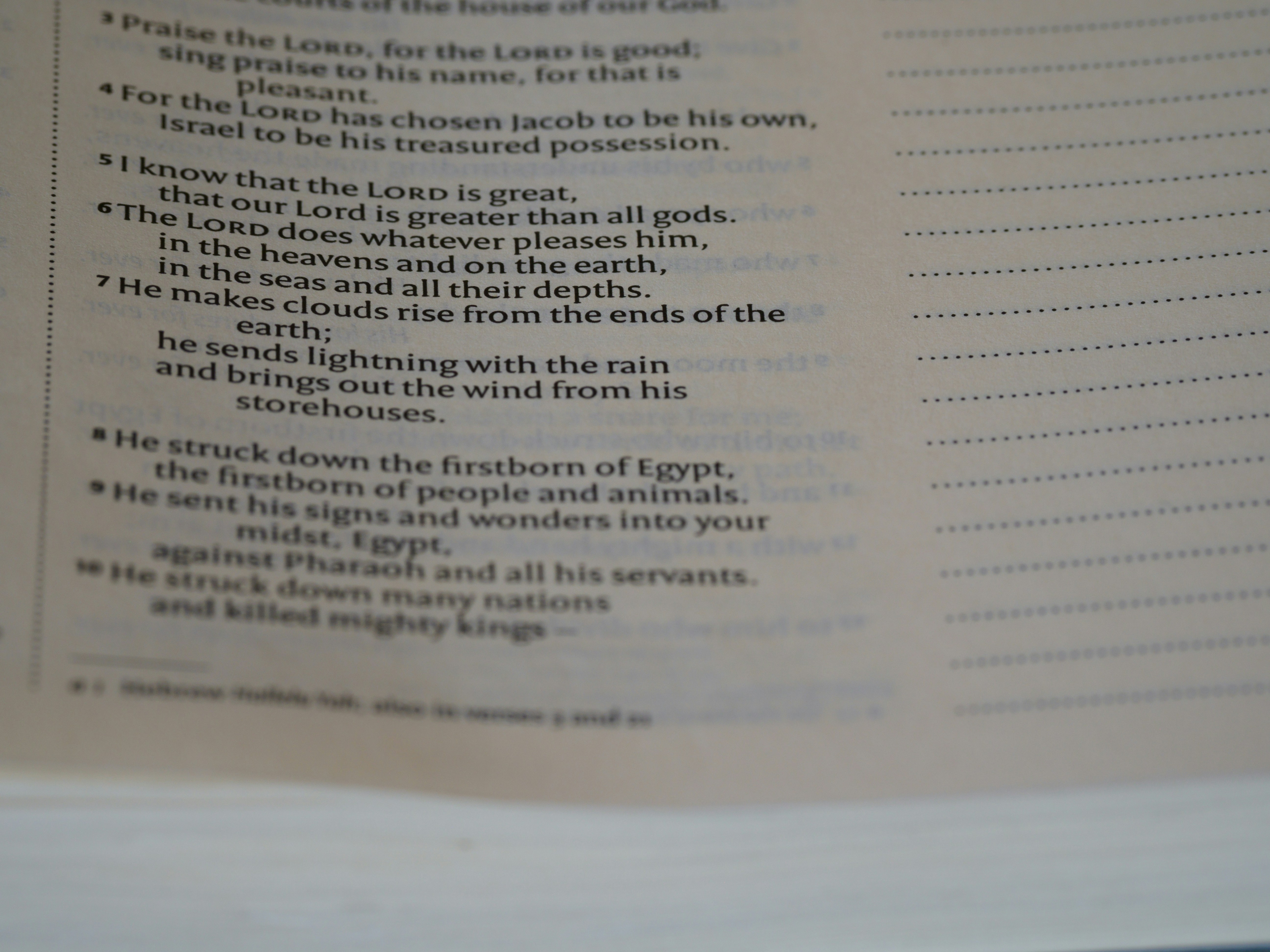 Photo by brett_jordan