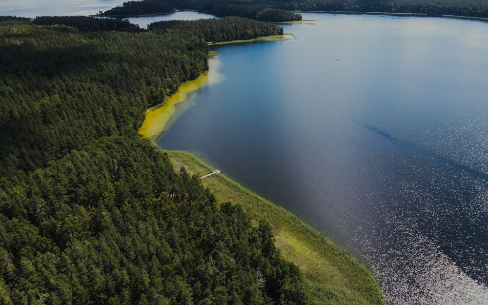 a body of water with trees and grass around it