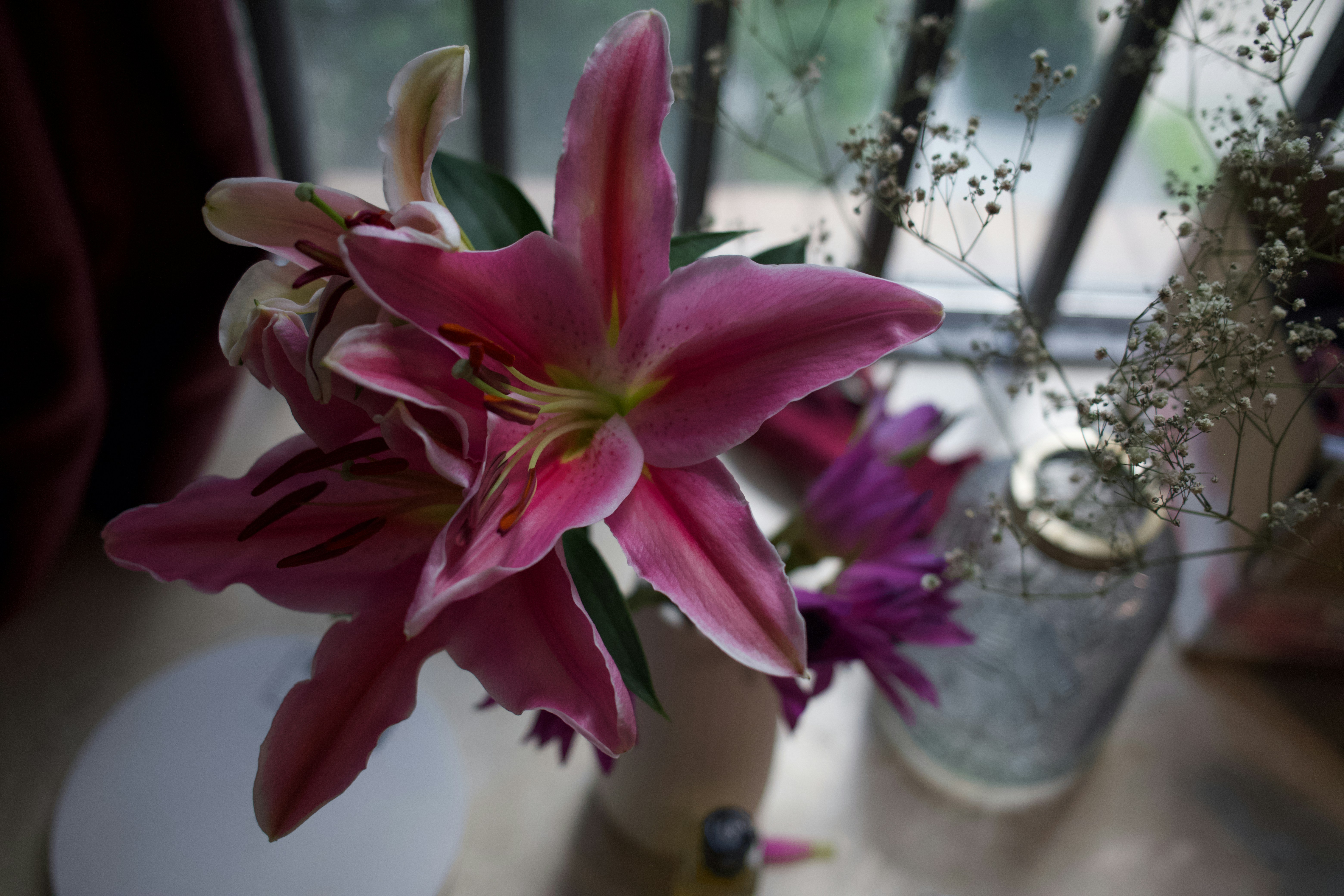 a pink flower in a vase