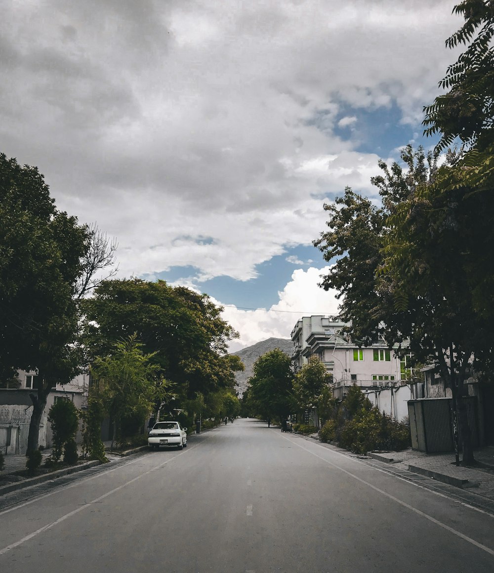 a road with trees on the side