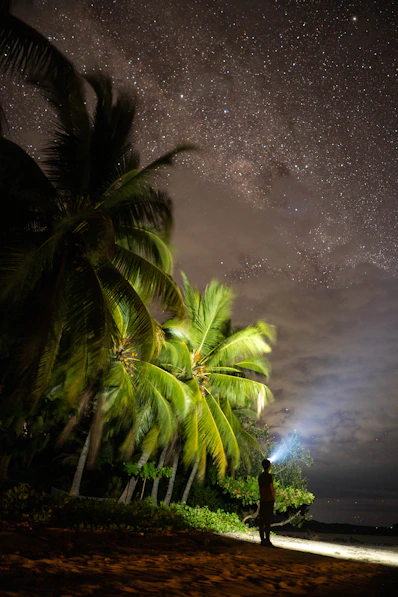 a person standing on a beach under a starry sky