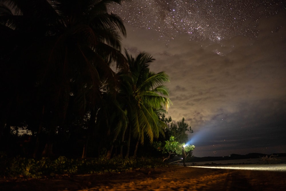a tropical beach at night