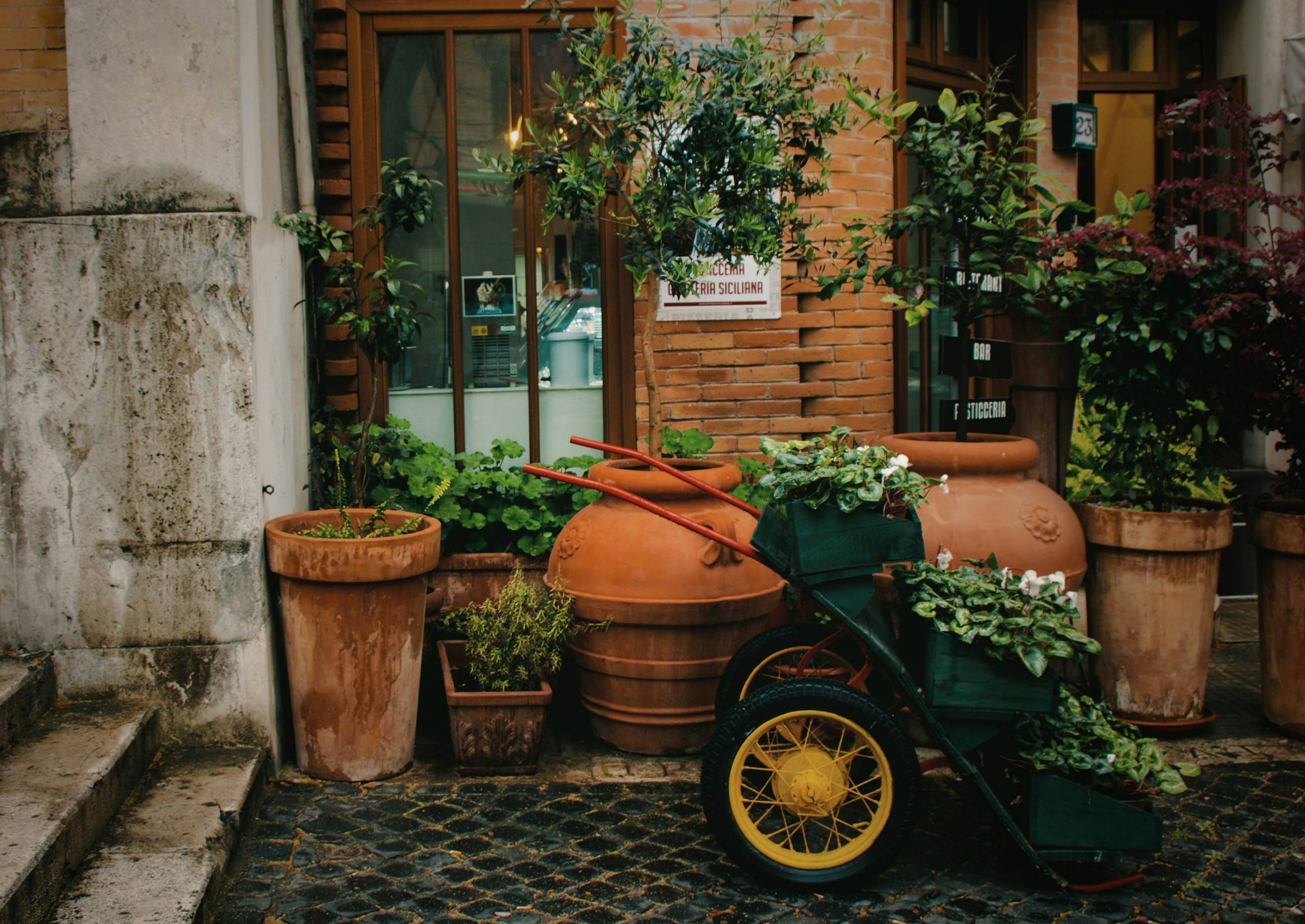 a group of potted plants outside a building