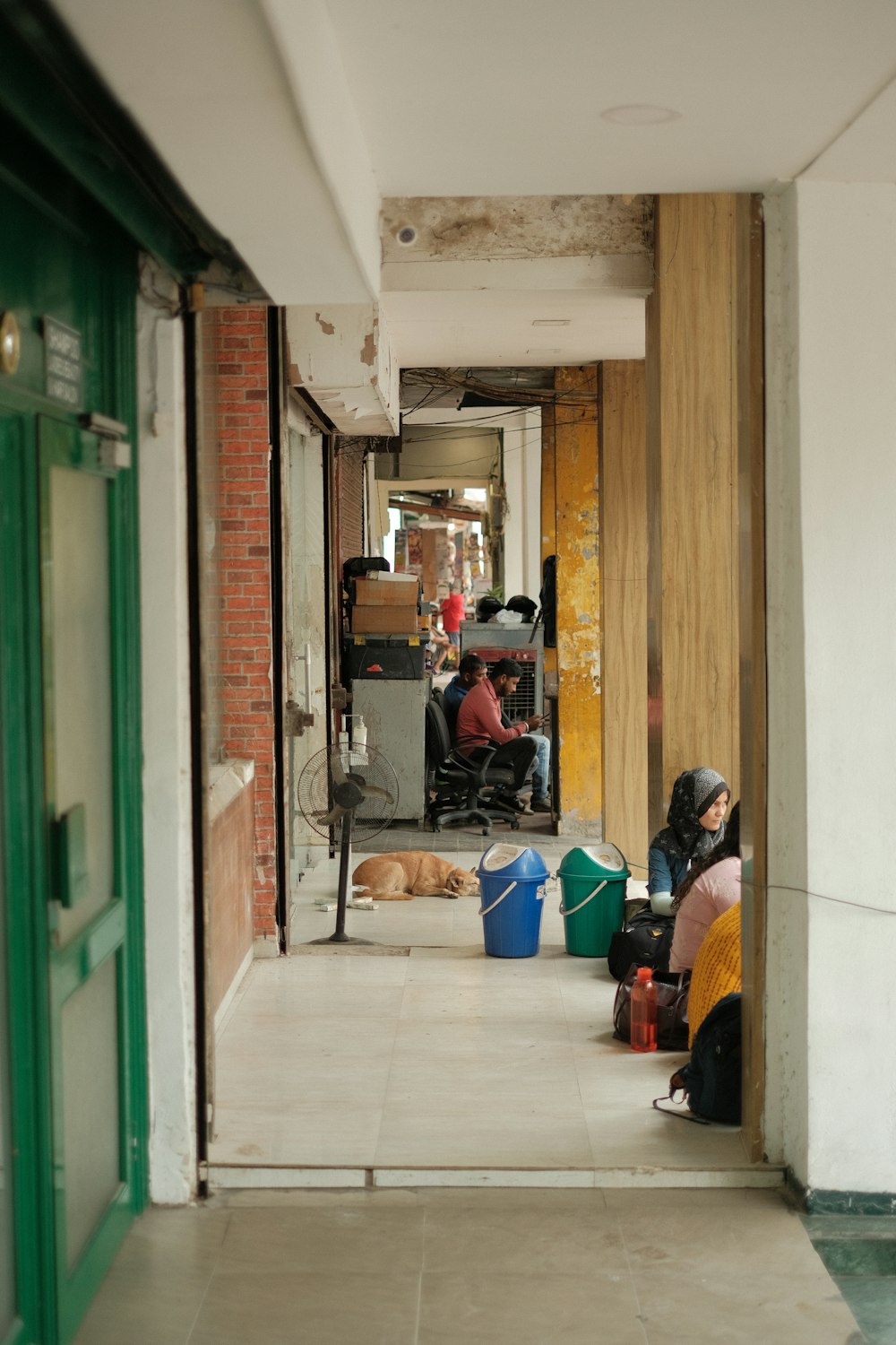 a dog lying in a doorway