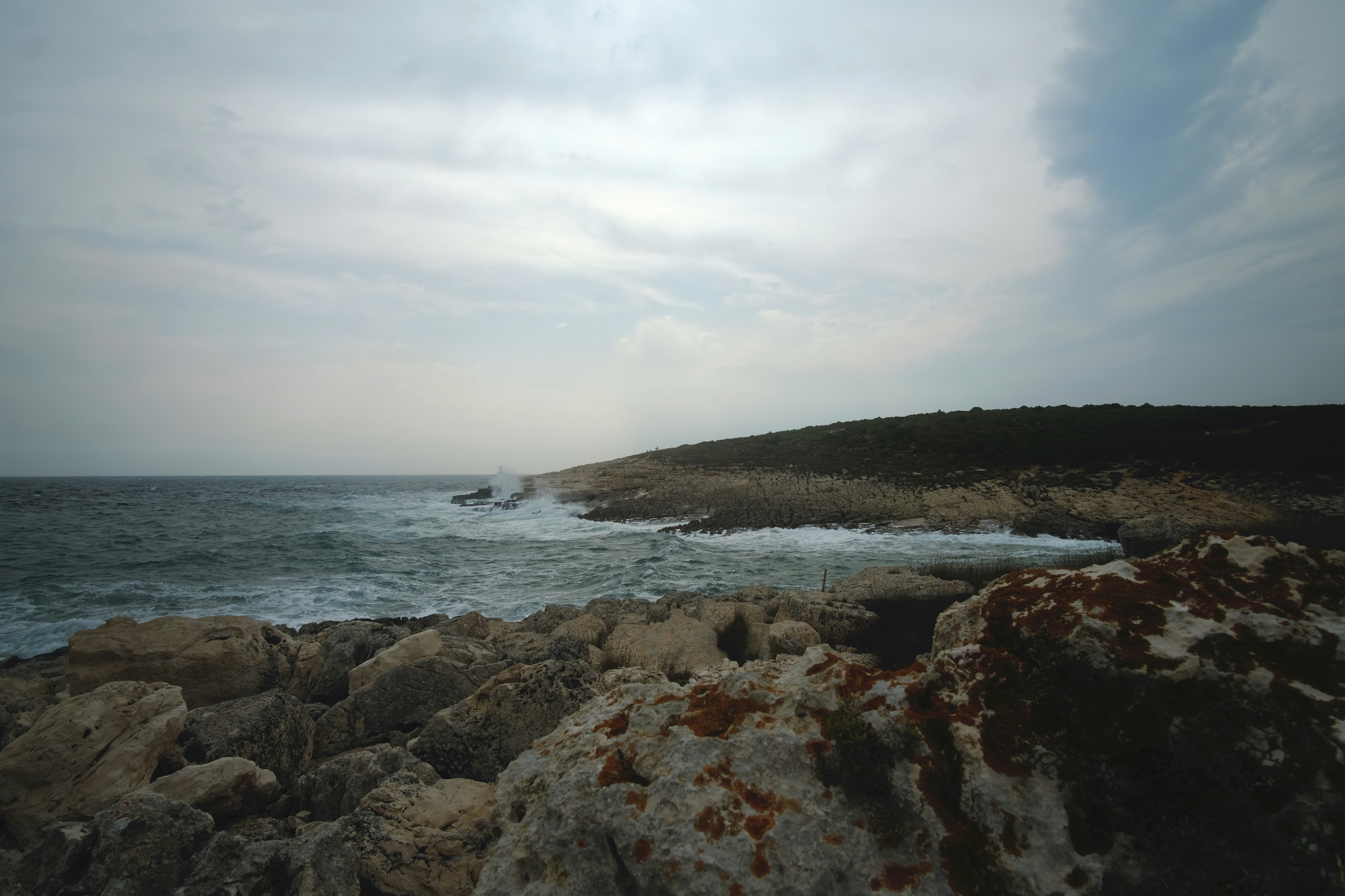 Photo by k_sariwating