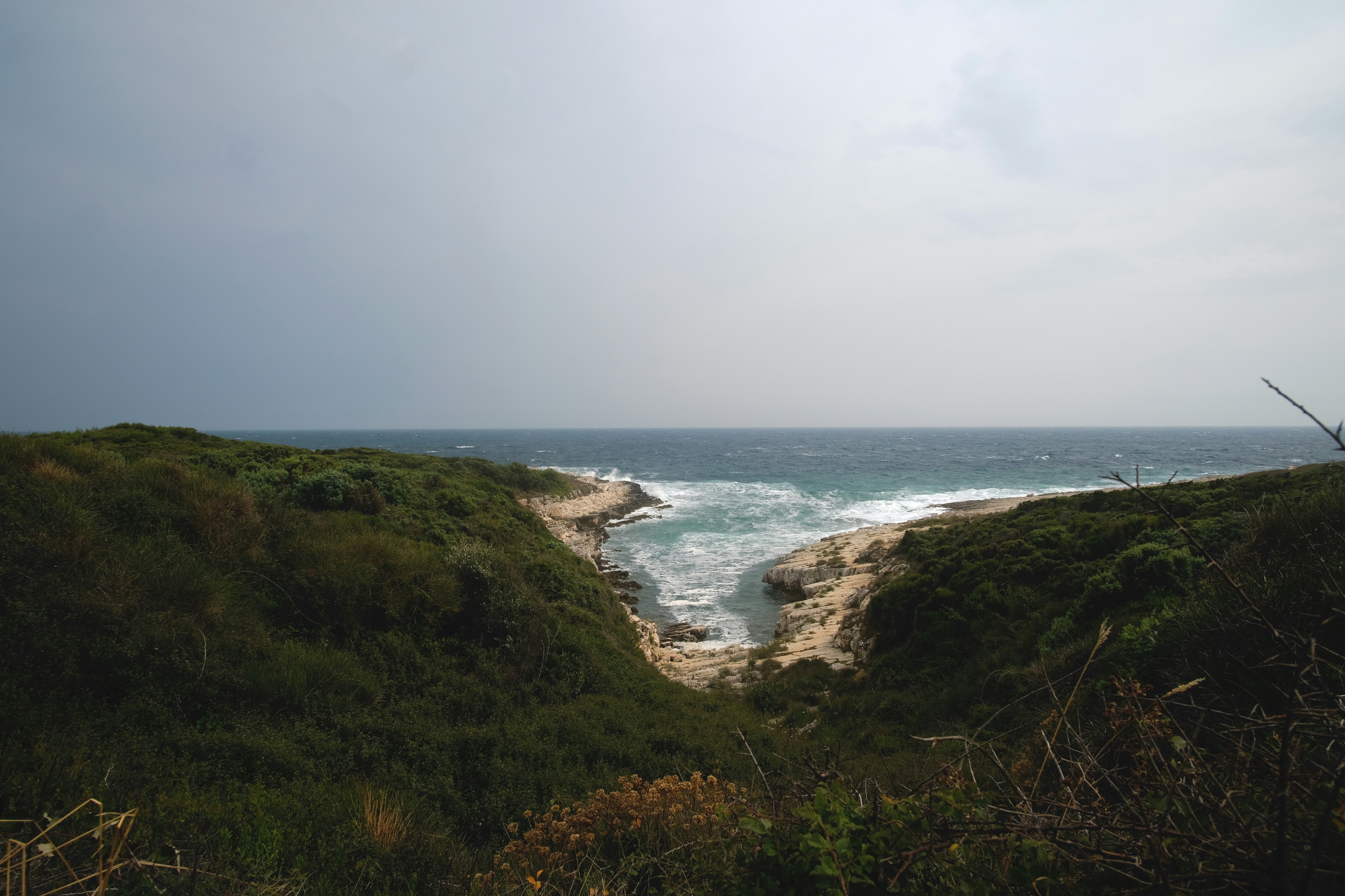 Photo by k_sariwating