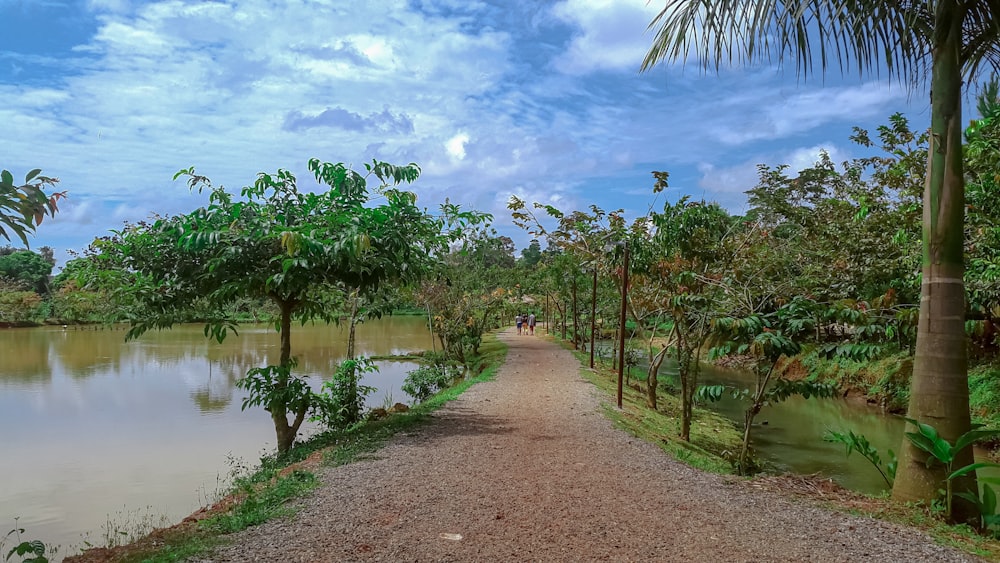 a dirt path with trees and water