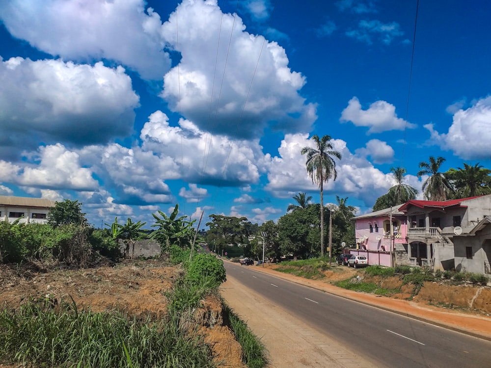 a road with trees and houses along it