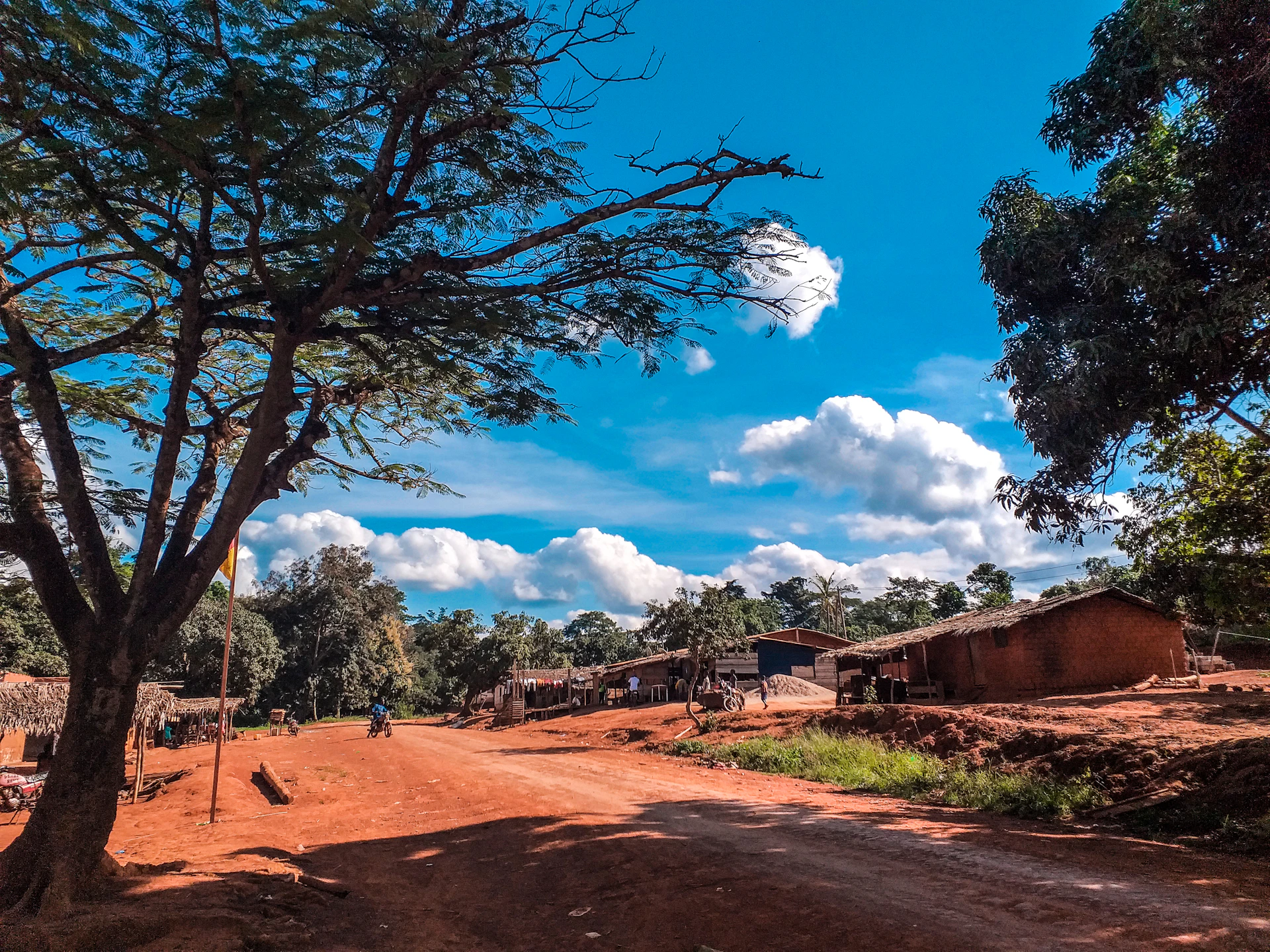 a dirt road with trees on either side of it