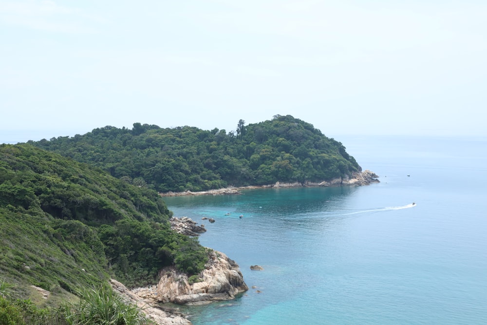 a body of water with trees on the side