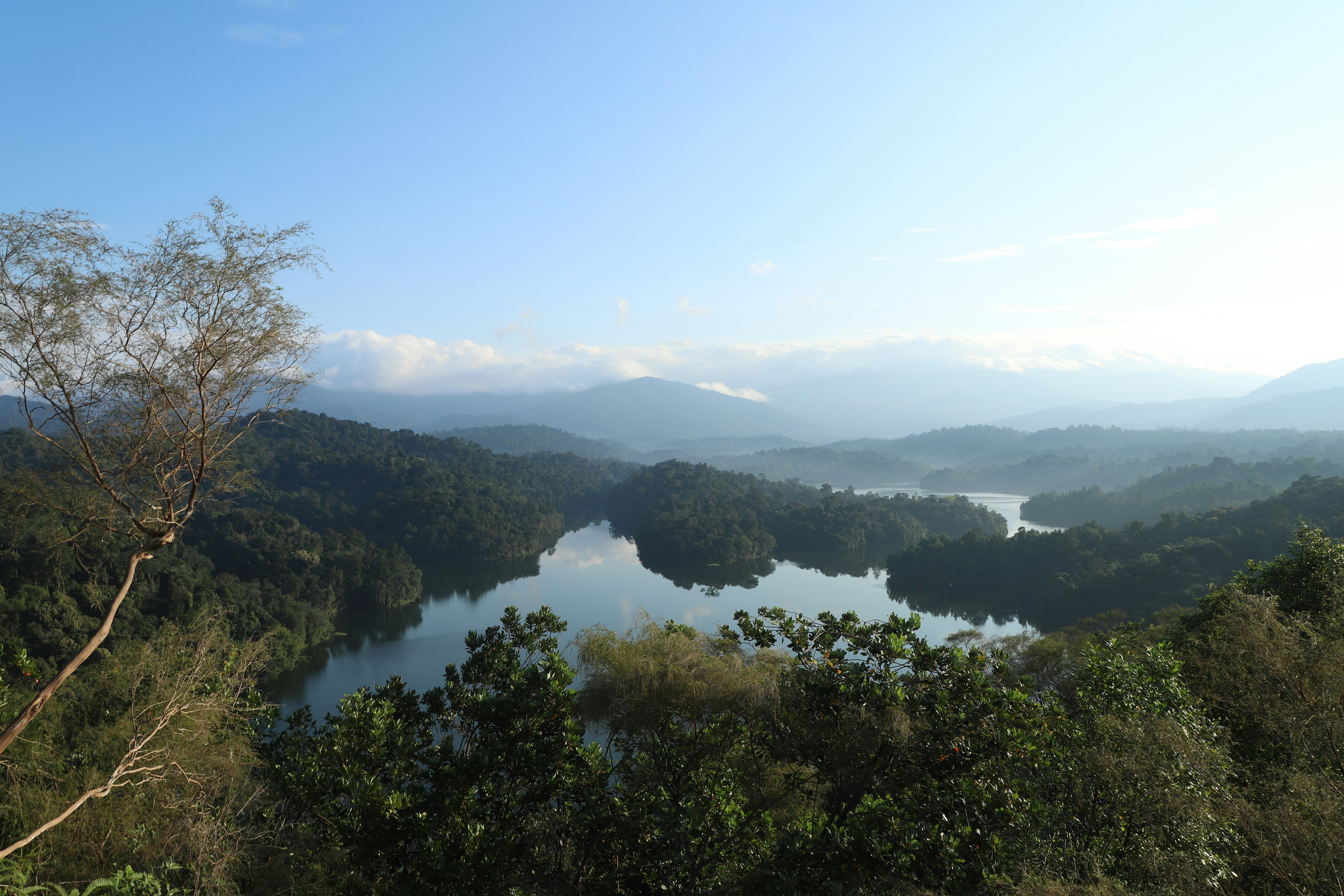 Photo by bahr_splash