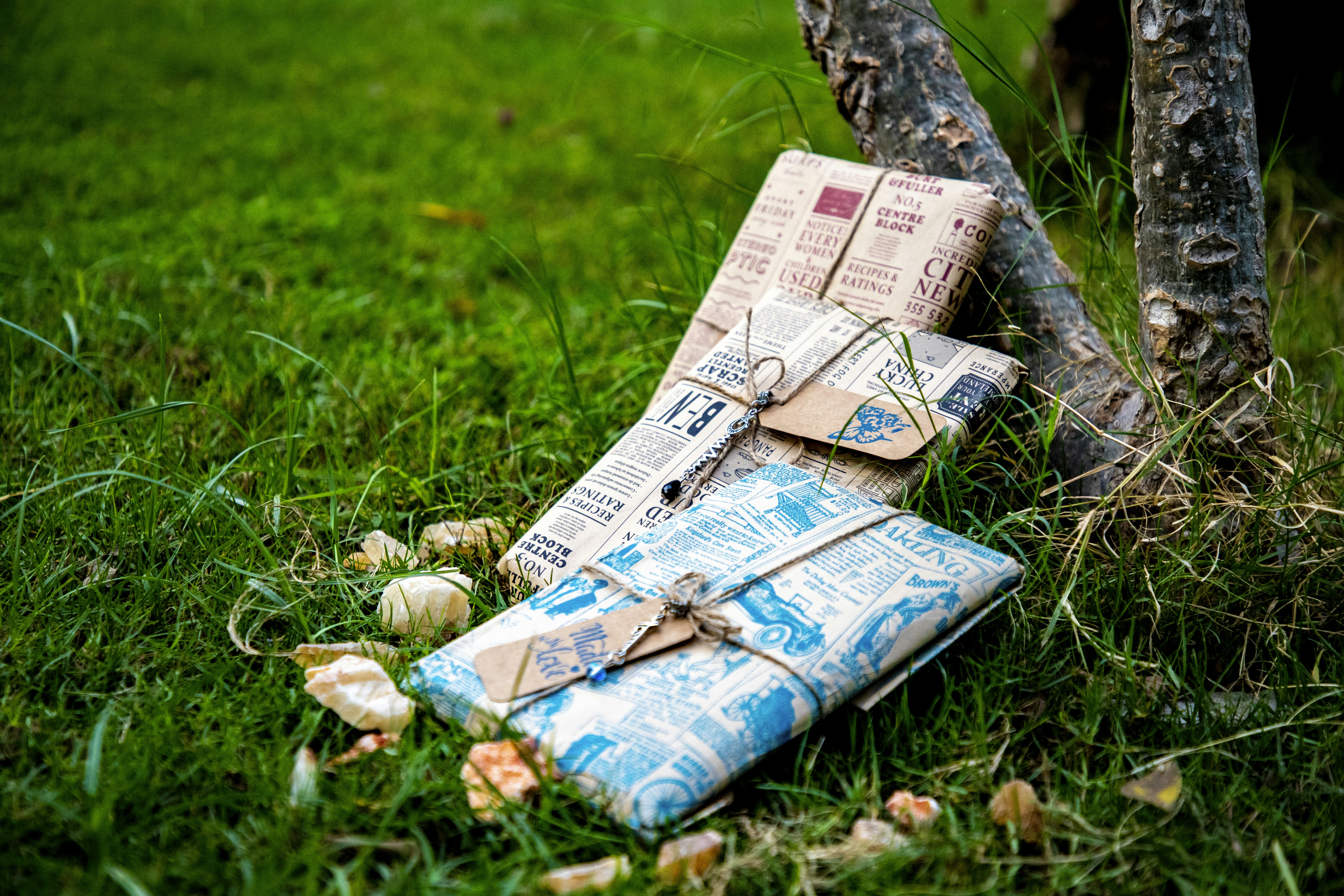 A pile of money on a tree