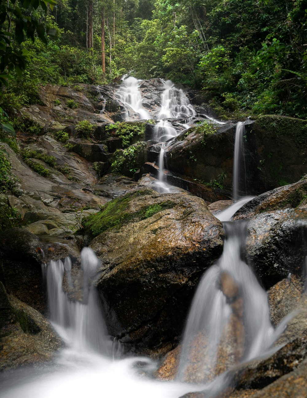 a waterfall with trees around it