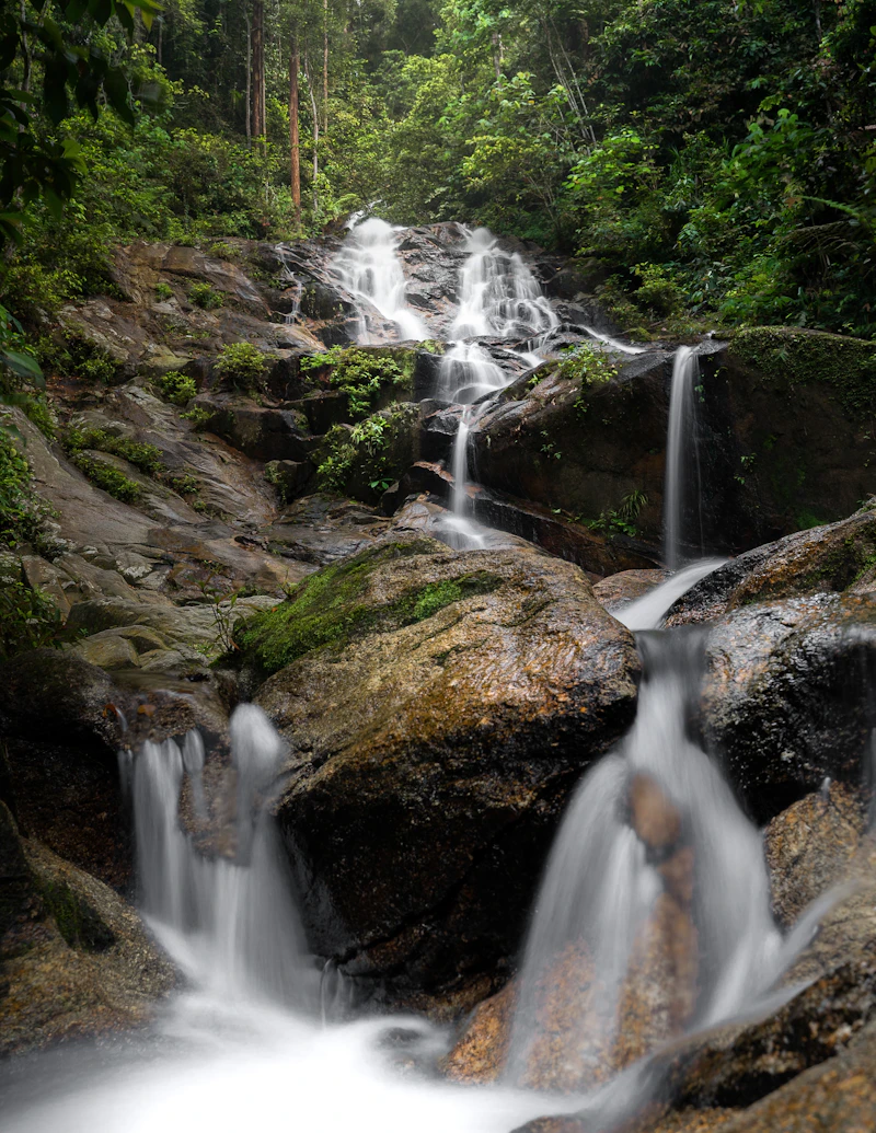 Waterfall cascading through dense tropical rainforest in Malaysia