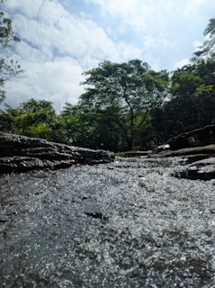 A serene outdoor scene showing nudral’s products placed on a stone ledge beside a flowing stream and wildflowers.
