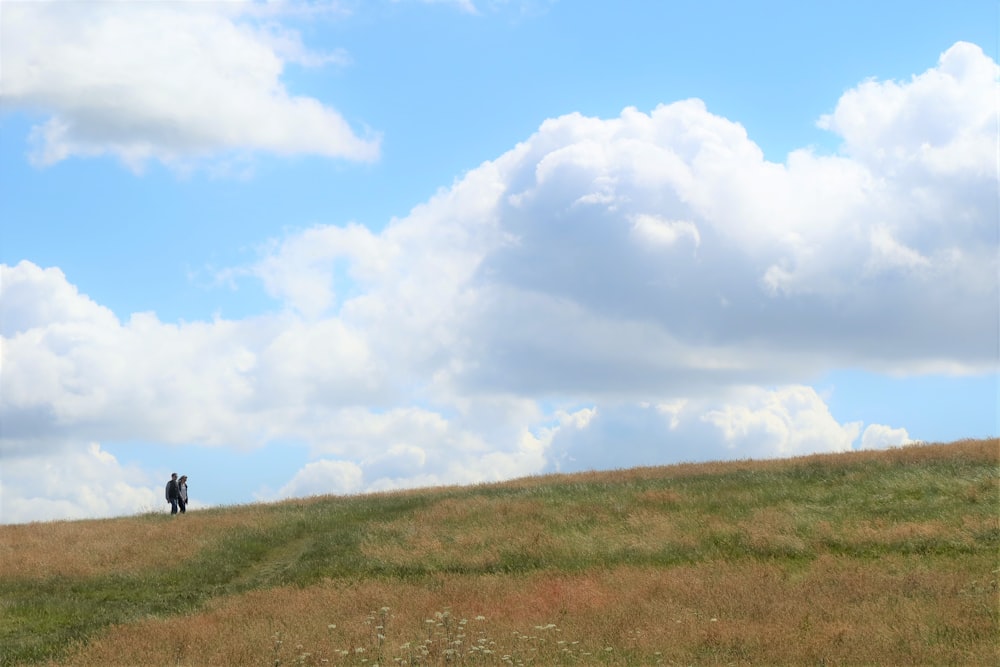 a couple people walking on a grassy hill