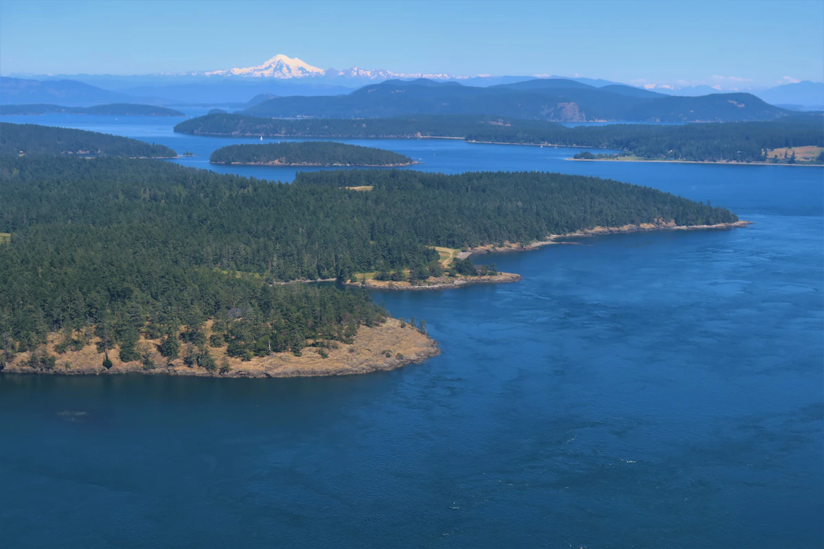 Forested San Juan Islands with mountains on the horizon