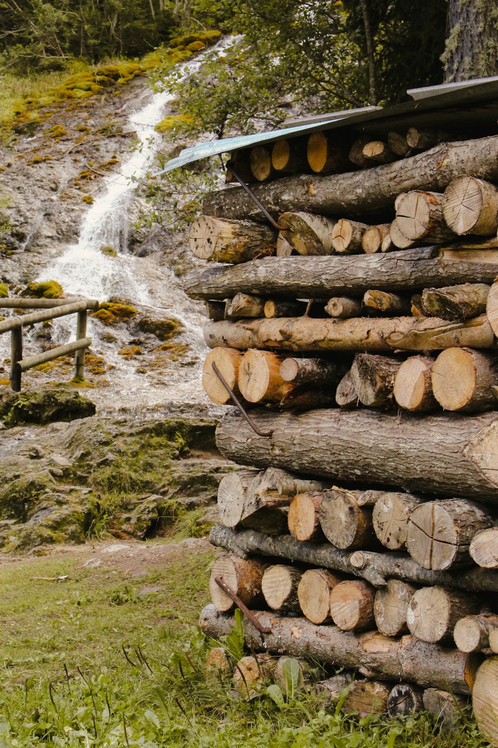 a pile of cut logs